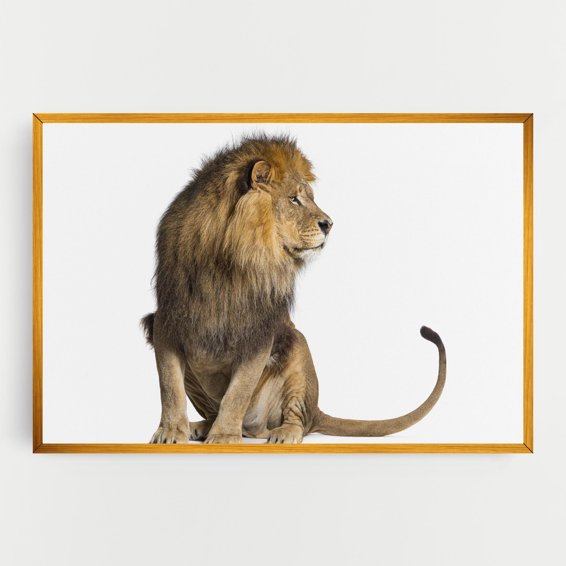 Vászonkép Big Lion mockup 0