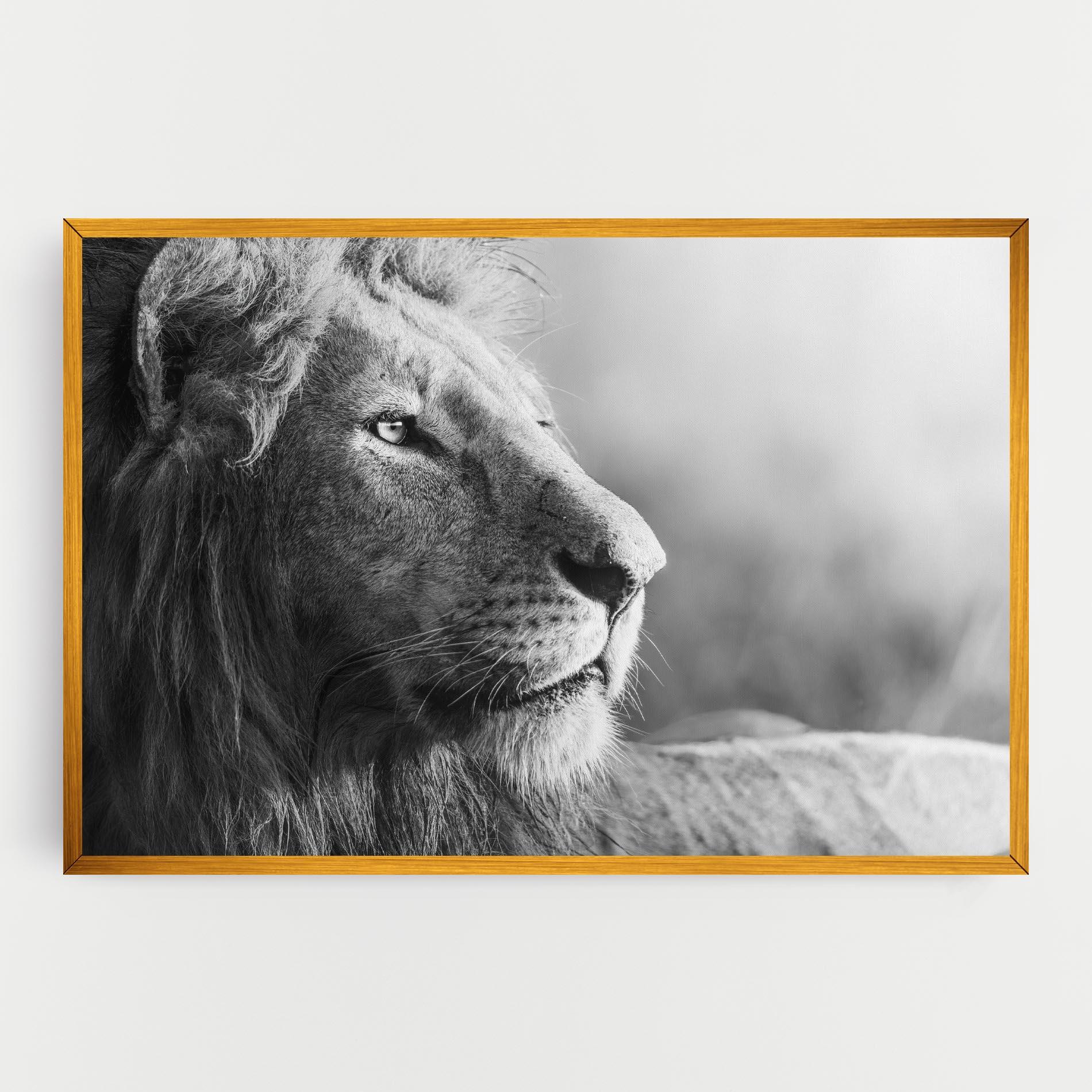 Vászonkép Grey Lion Head mockup 0