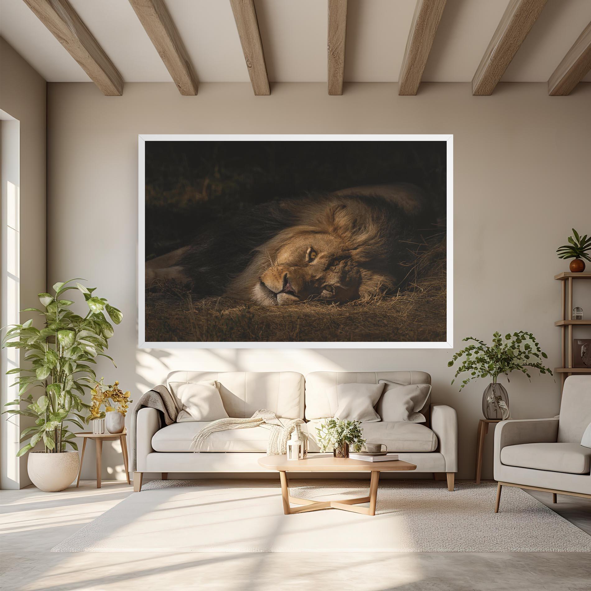 Vászonkép Lion Laying Down mockup 6