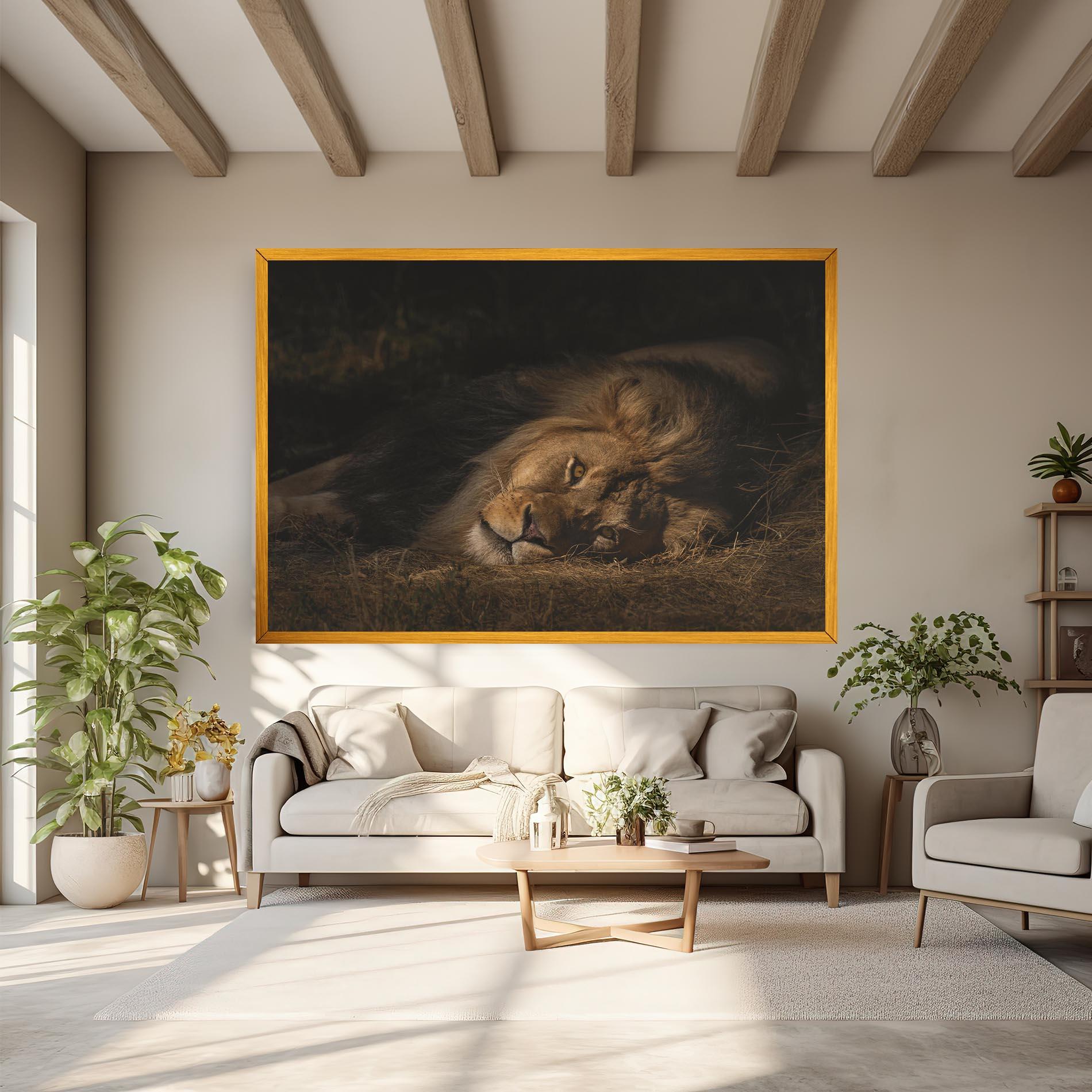 Vászonkép Lion Laying Down mockup 6