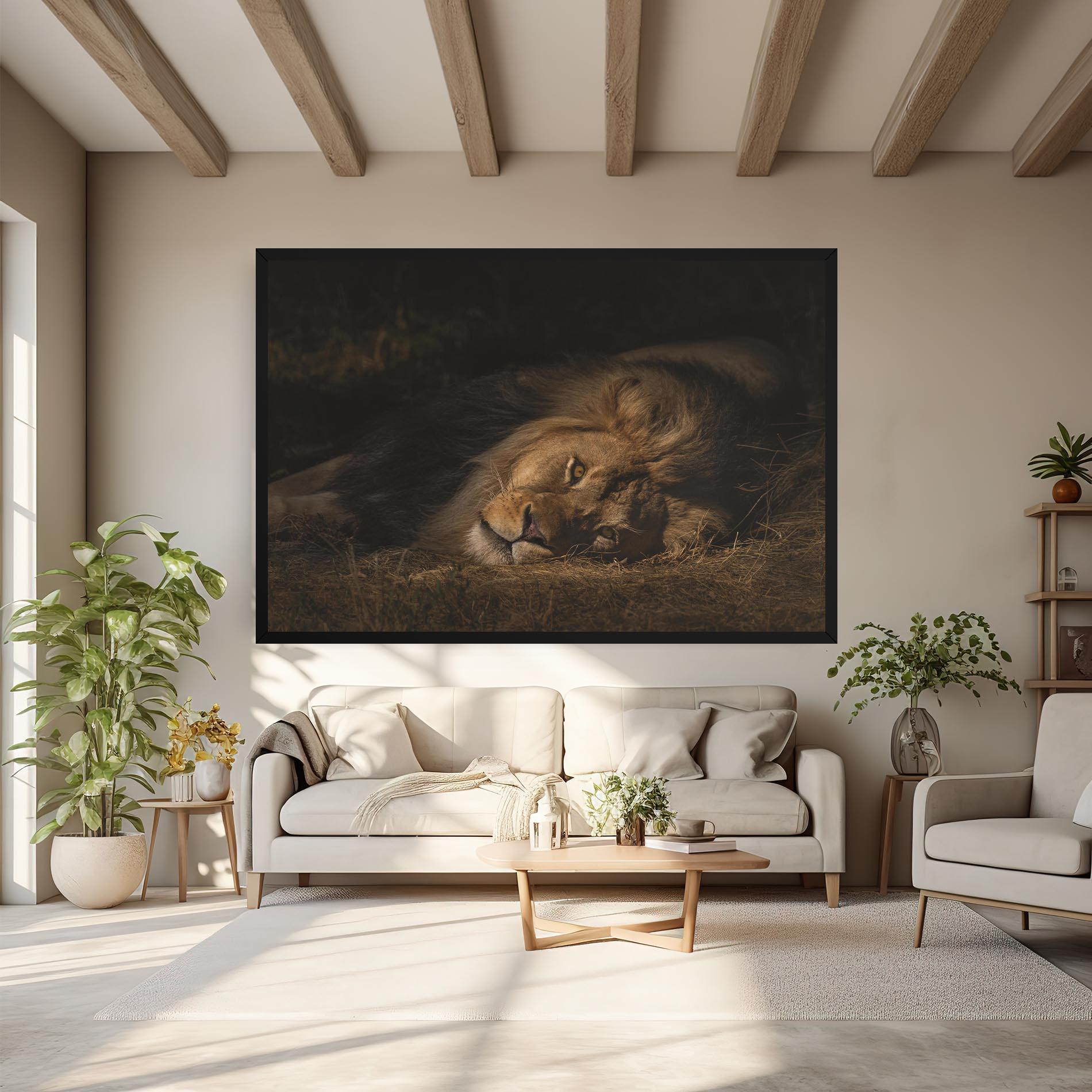 Vászonkép Lion Laying Down mockup 6