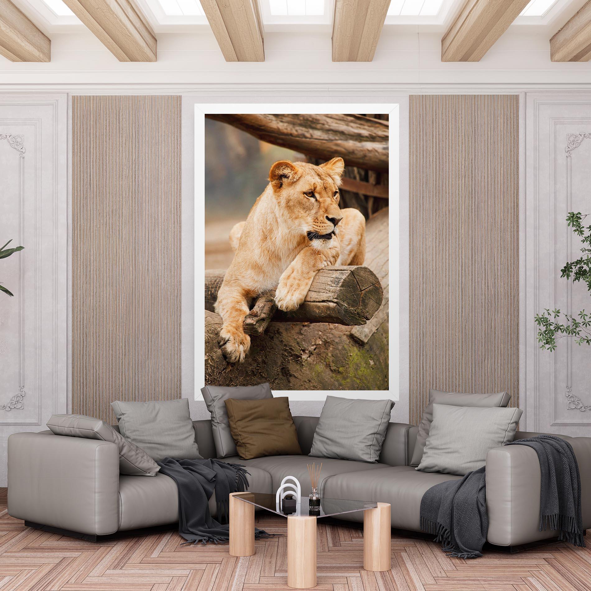 Vászonkép Female Lion Sitting mockup 6