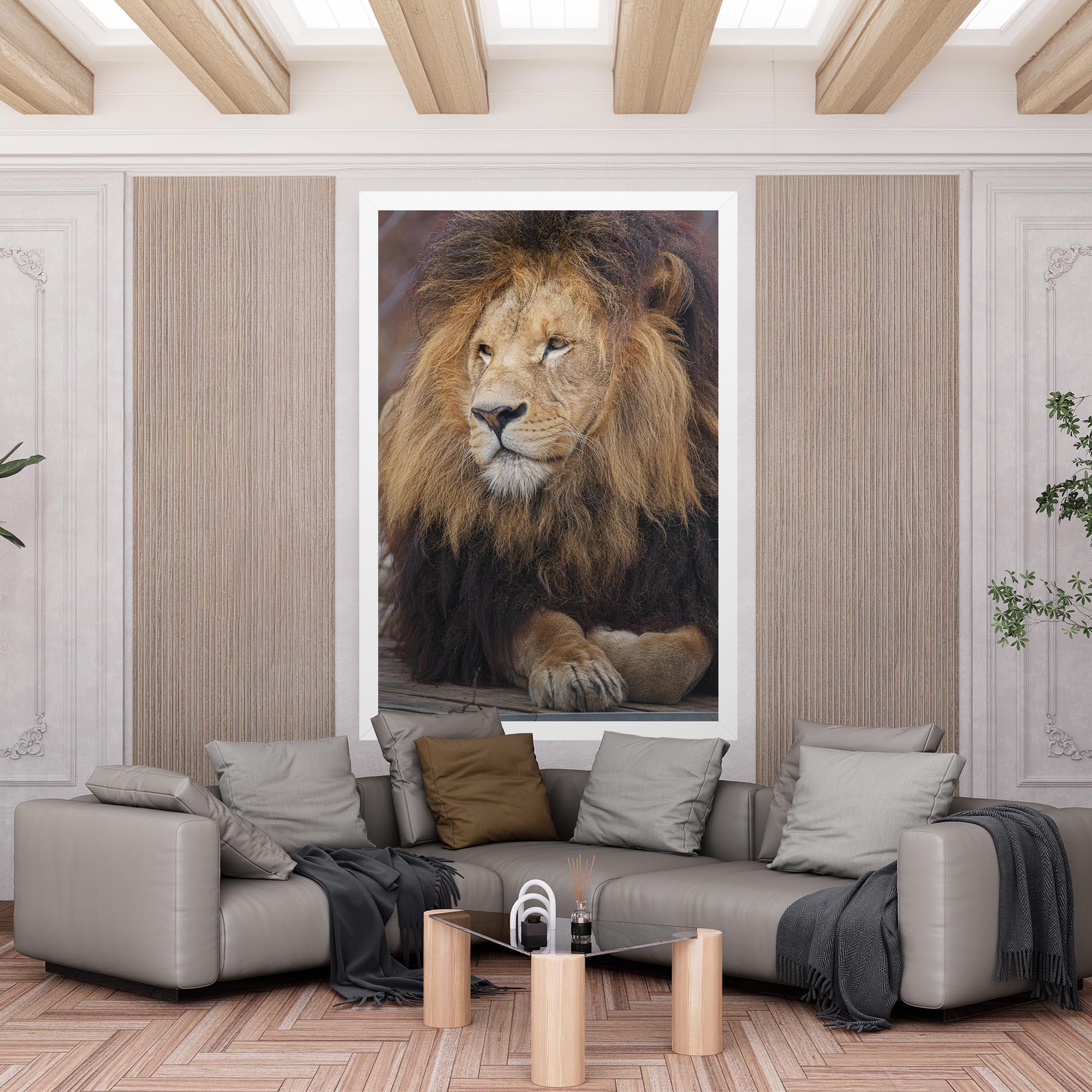 Vászonkép Lion Chilling mockup 6