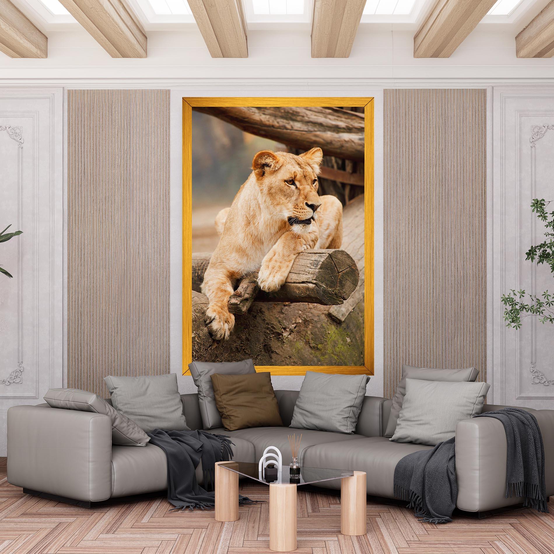 Vászonkép Female Lion Sitting mockup 6