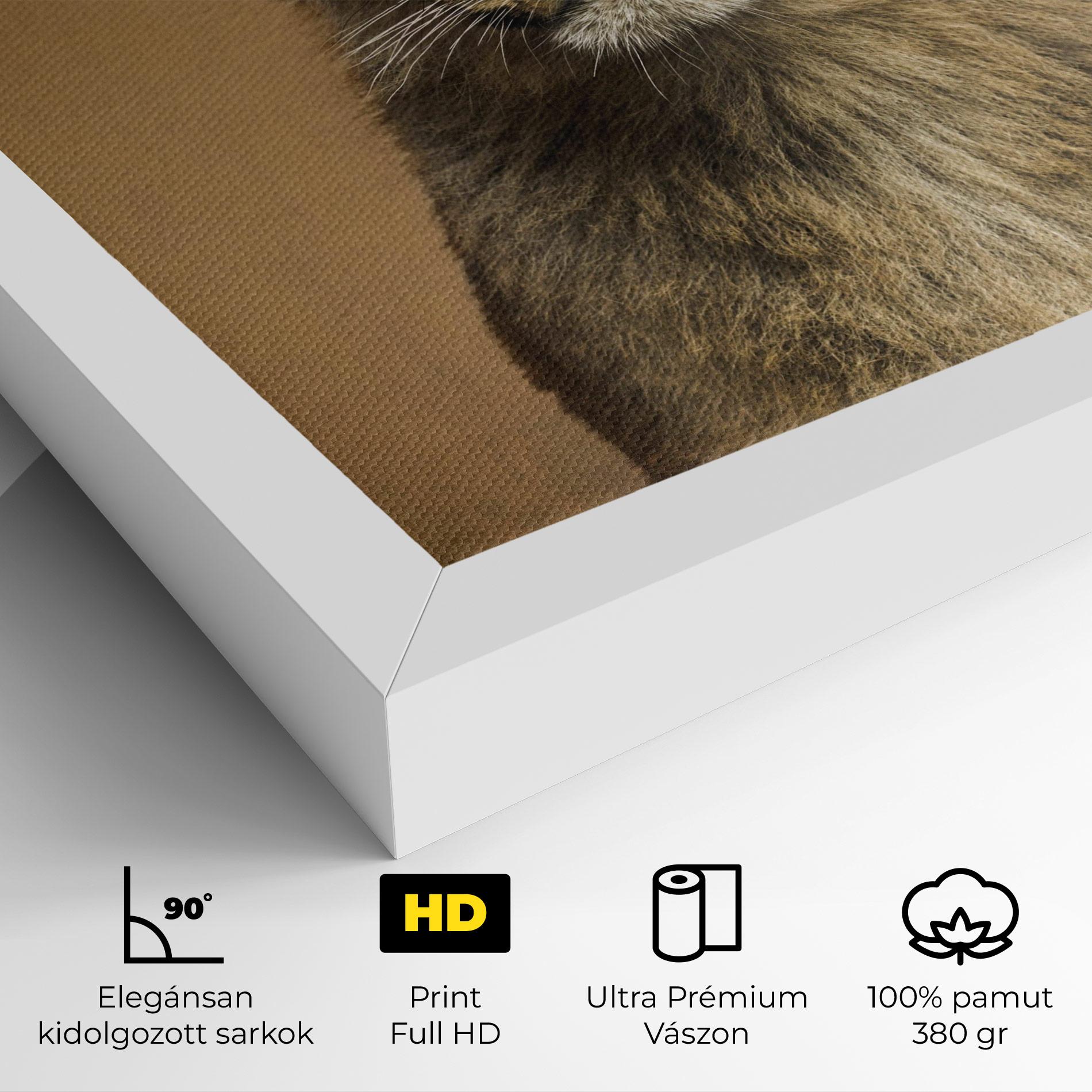 Vászonkép Baby Lion mockup 4