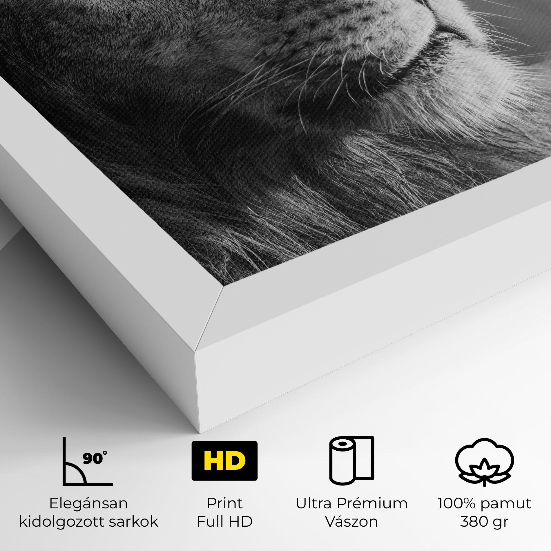 Vászonkép Grey Lion Head mockup 4