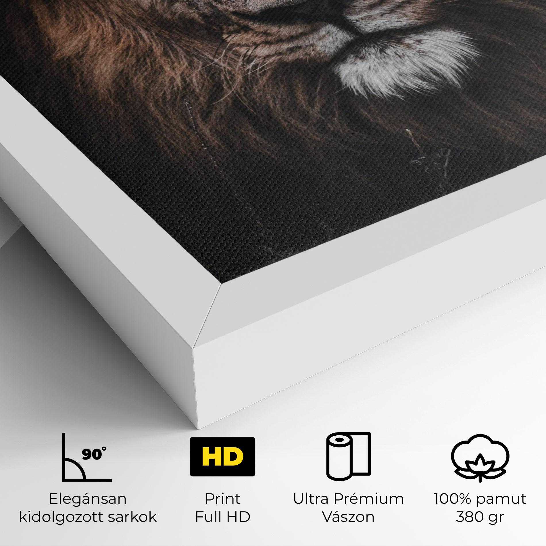 Vászonkép Jungle King mockup 4