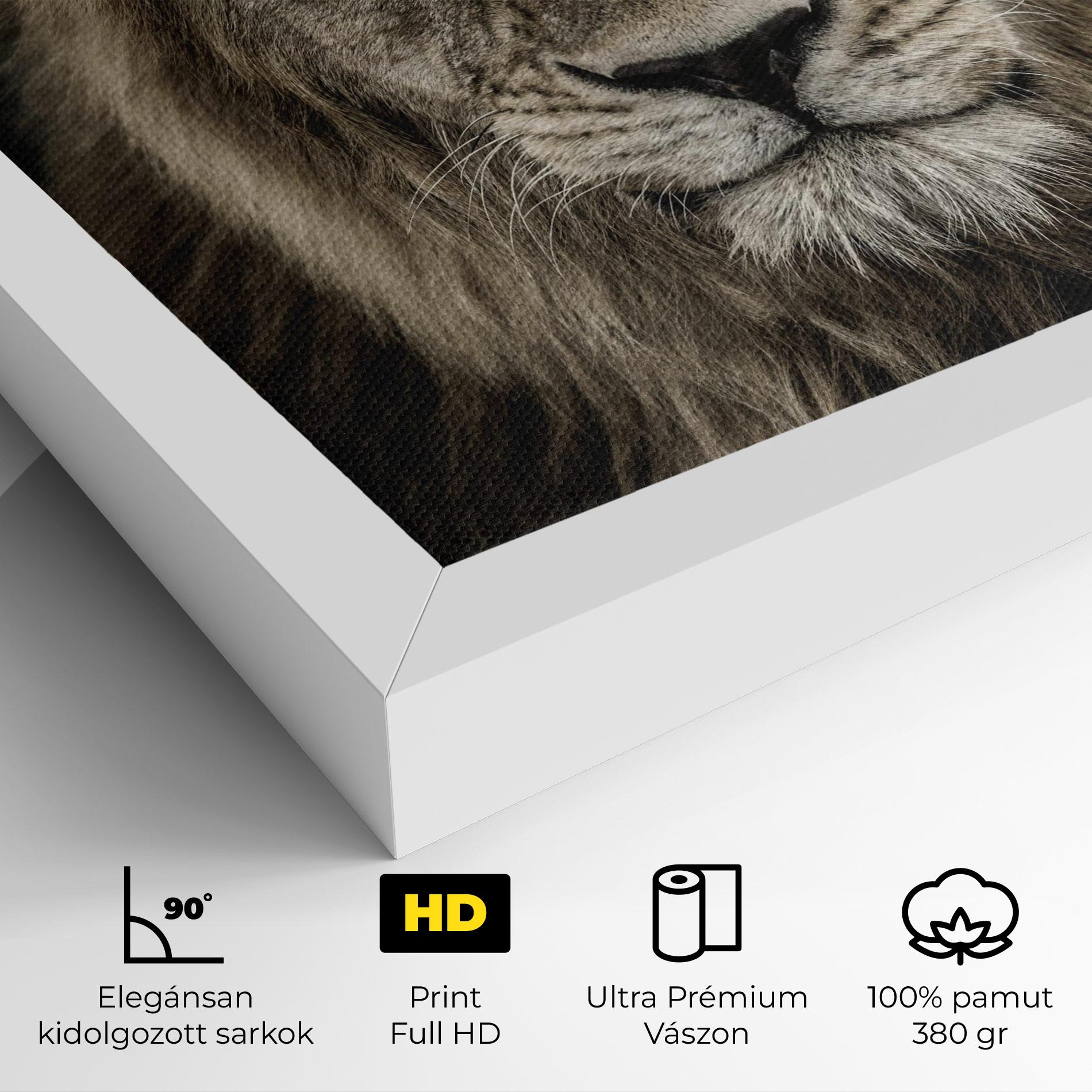 Vászonkép Lion Close Up mockup 4