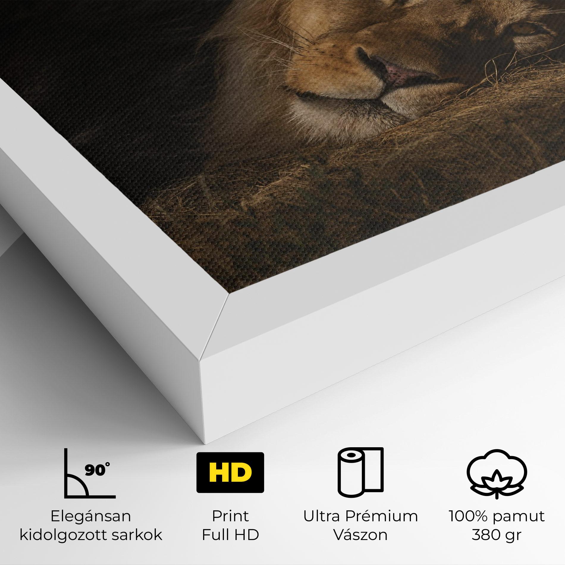 Vászonkép Lion Laying Down mockup 4