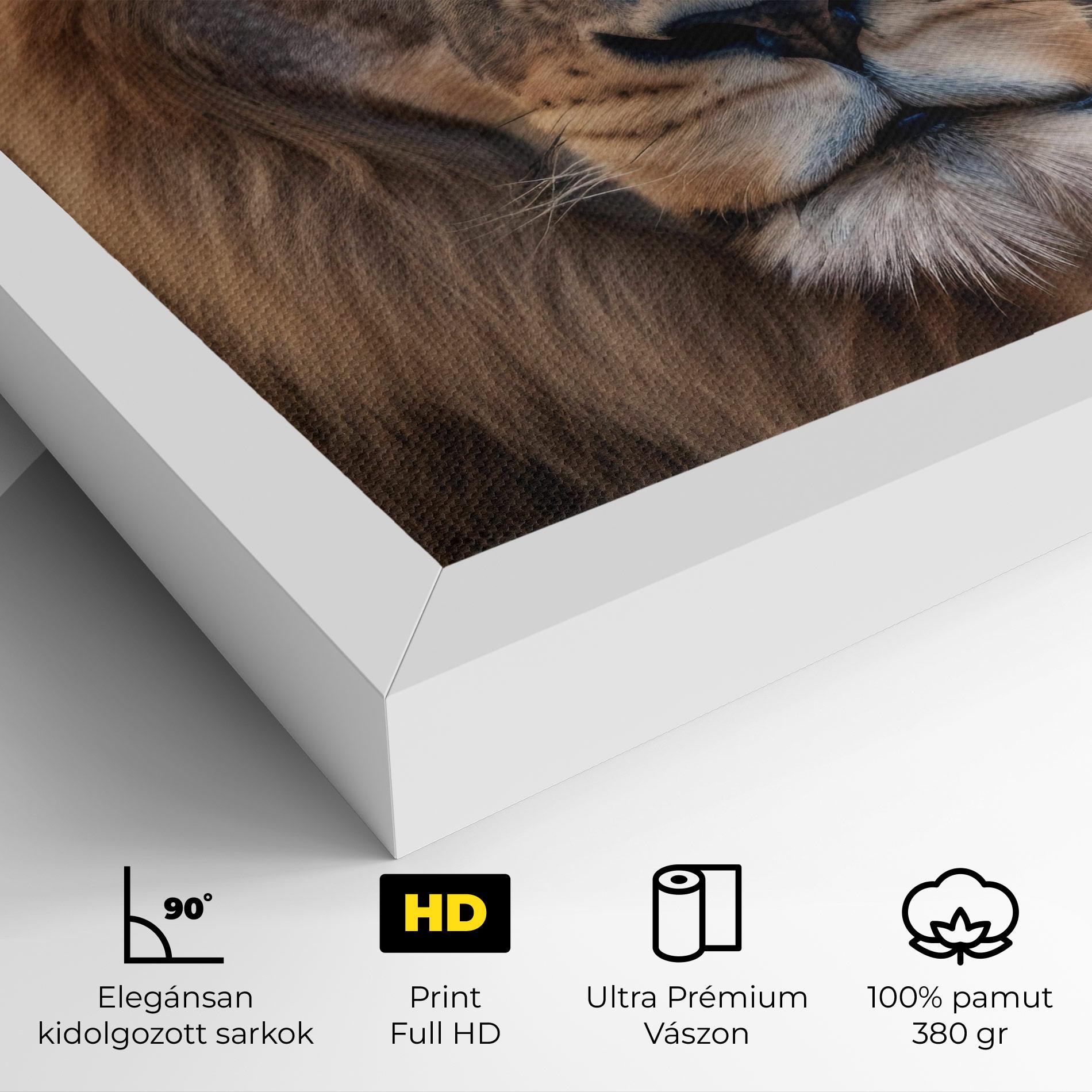 Vászonkép Wild Lion View mockup 4