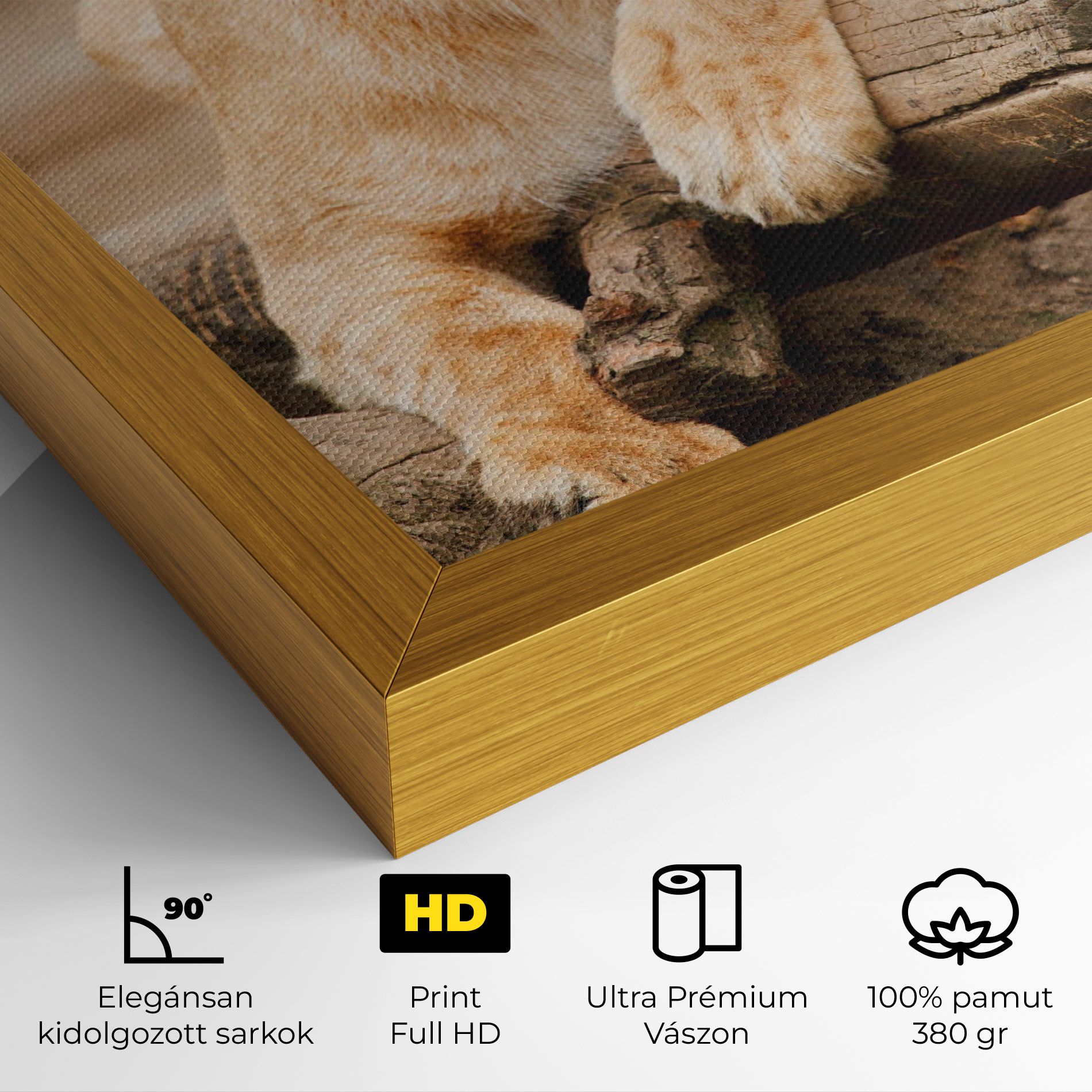 Female Lion Sitting mockup 4