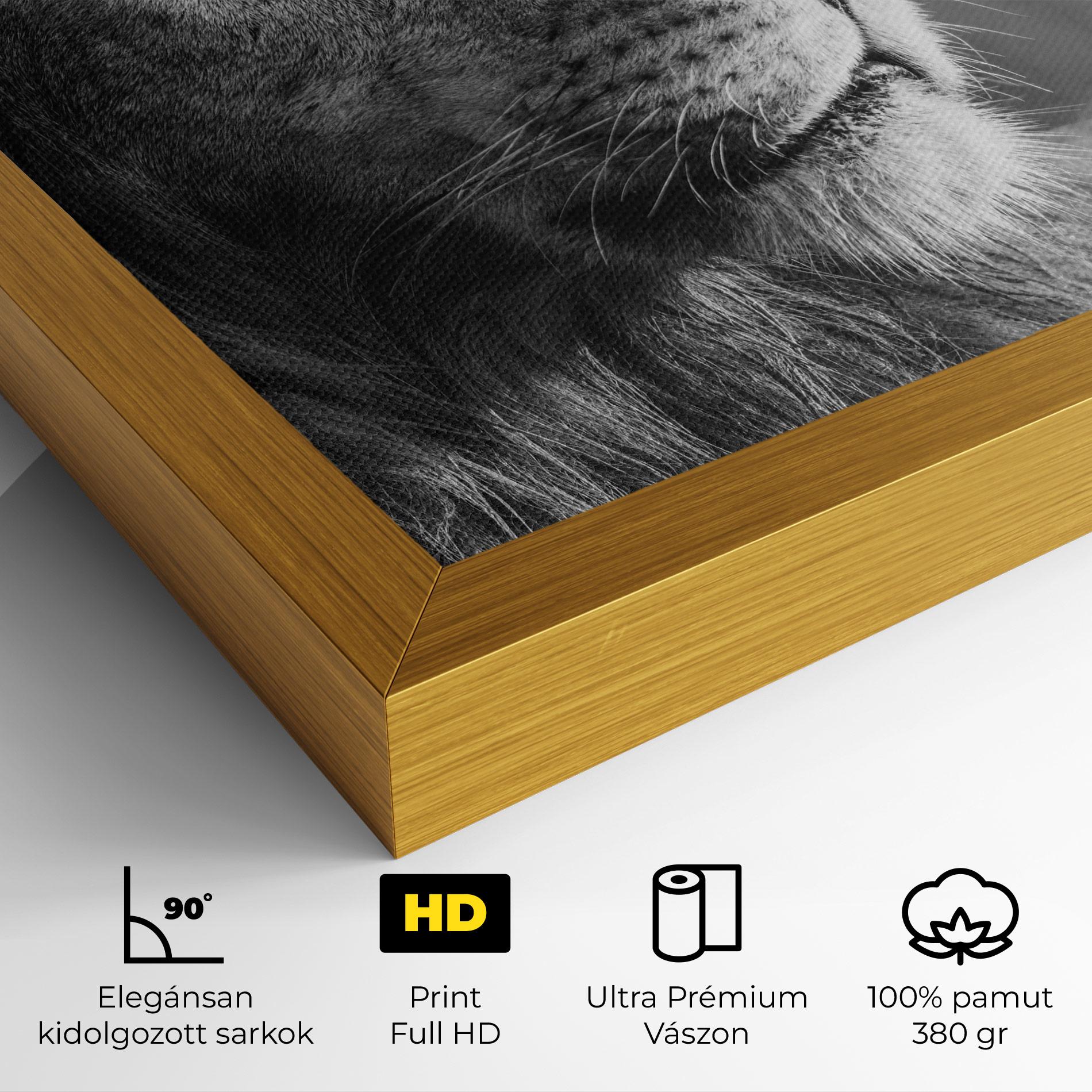 Vászonkép Grey Lion Head mockup 4