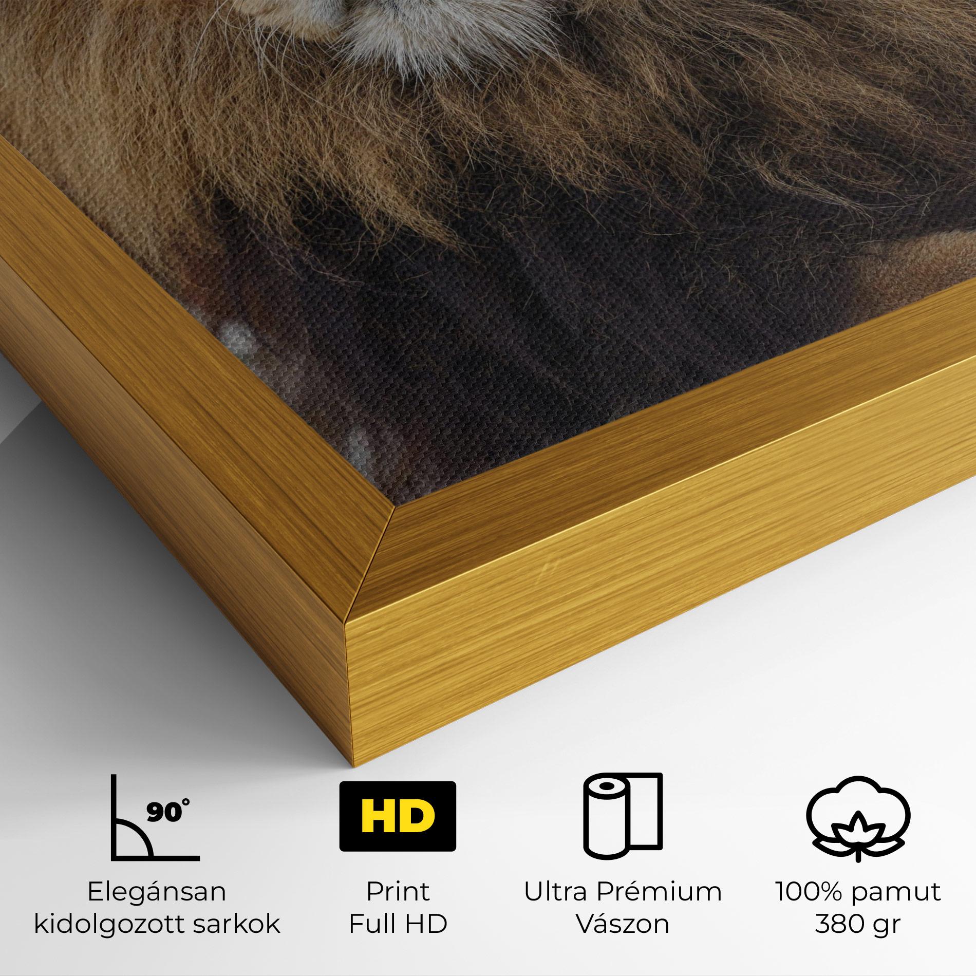 Vászonkép Lion Chilling mockup 4