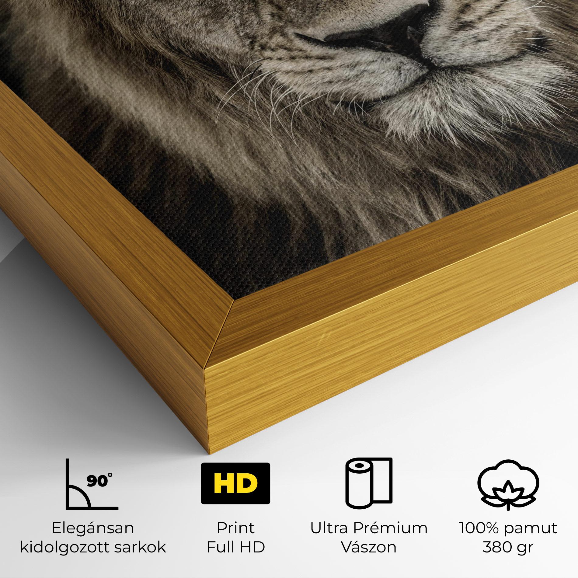 Vászonkép Lion Close Up mockup 4