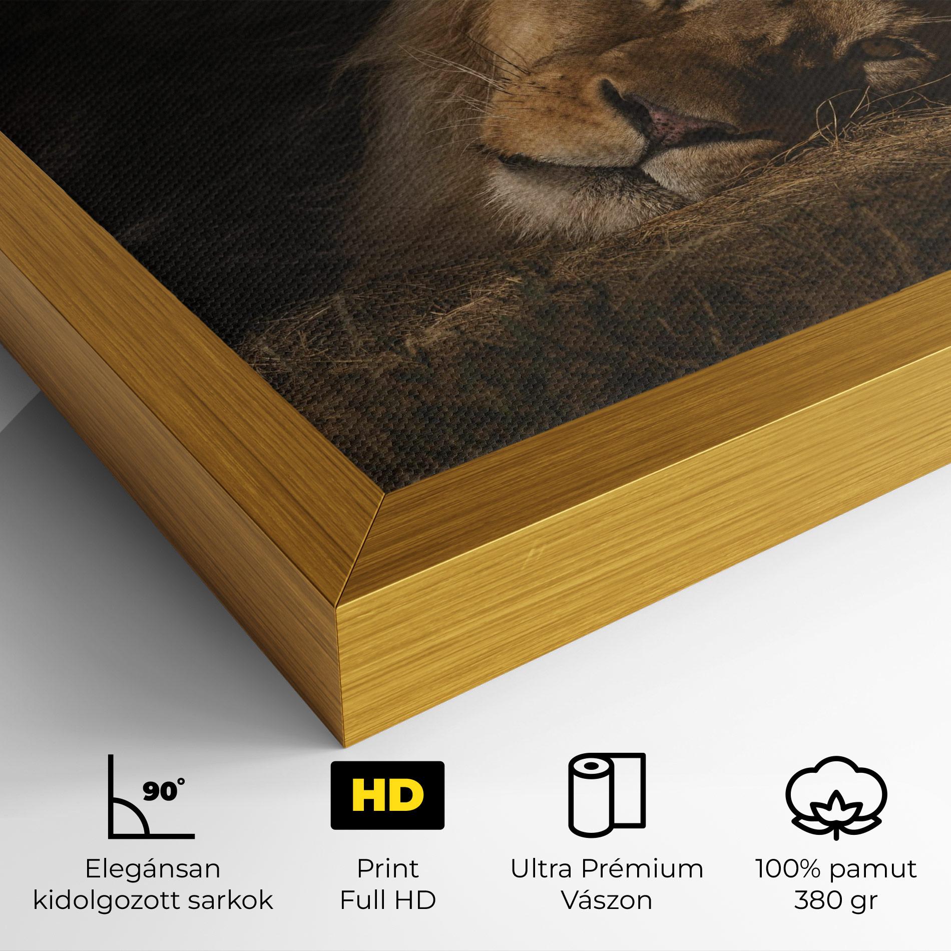 Vászonkép Lion Laying Down mockup 4
