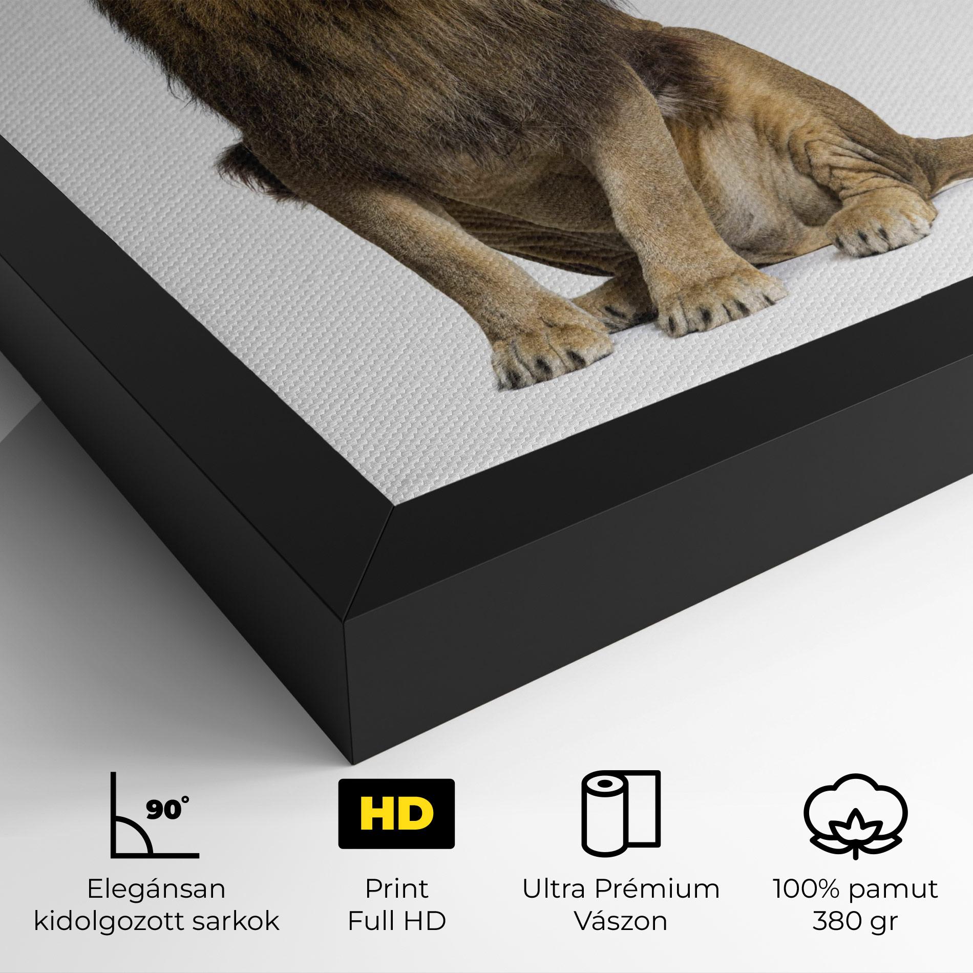 Vászonkép Big Lion mockup 4