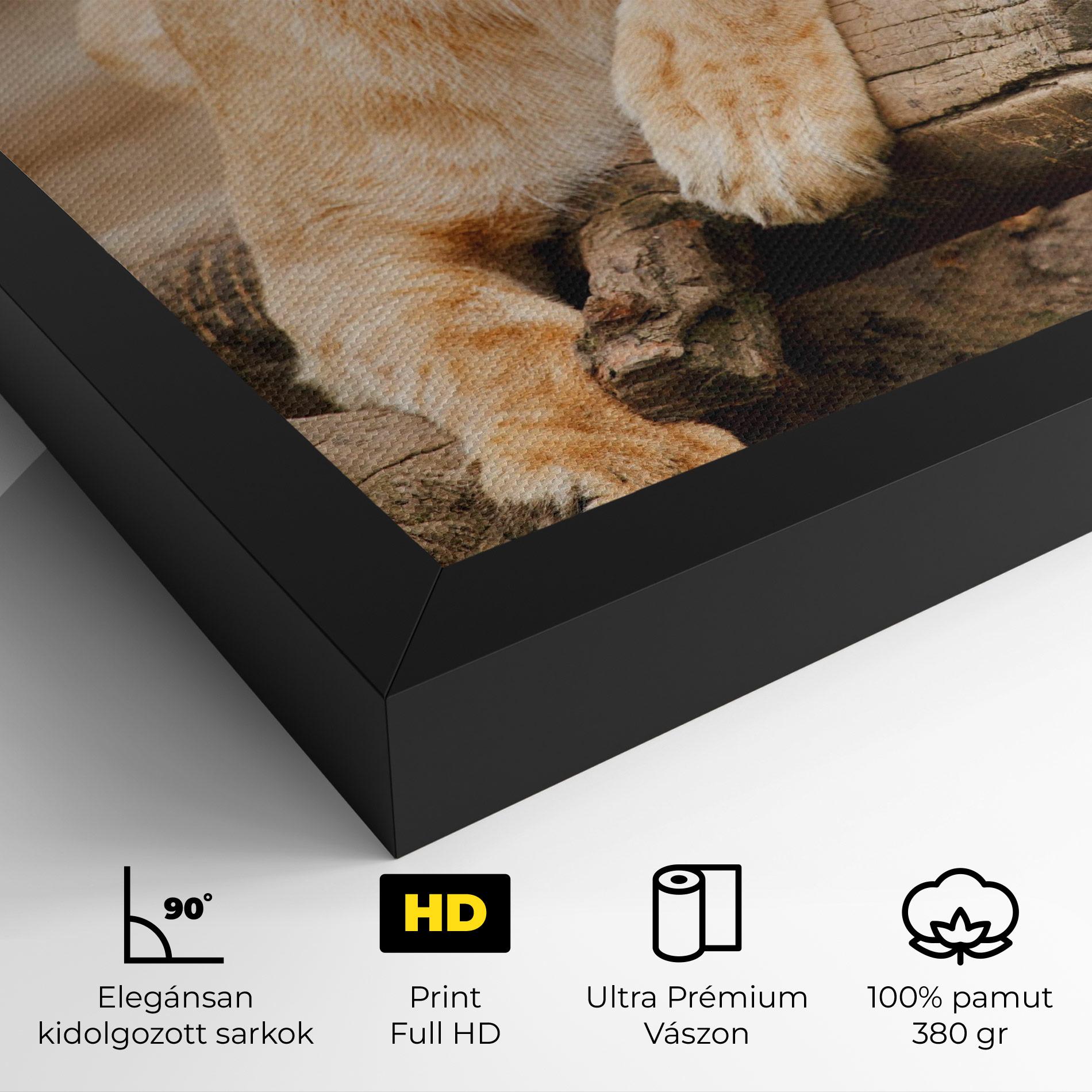 Vászonkép Female Lion Sitting mockup 4