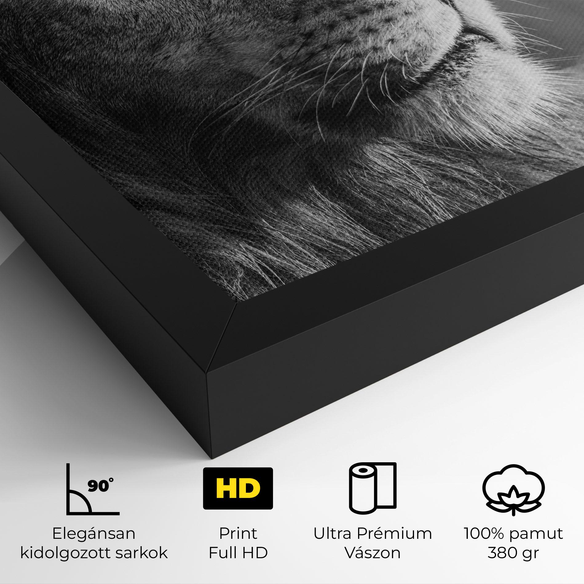 Vászonkép Grey Lion Head mockup 4