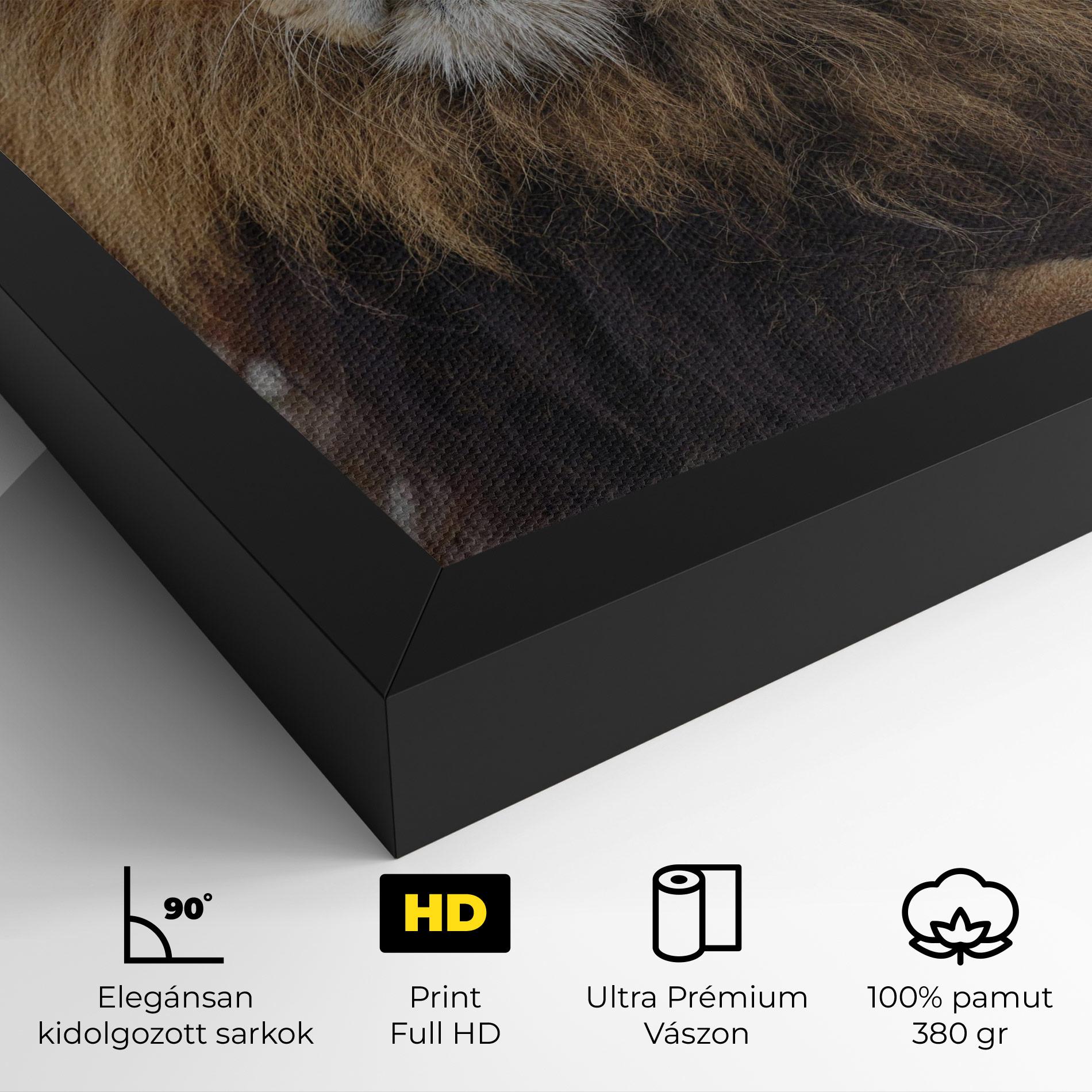 Vászonkép Lion Chilling mockup 4