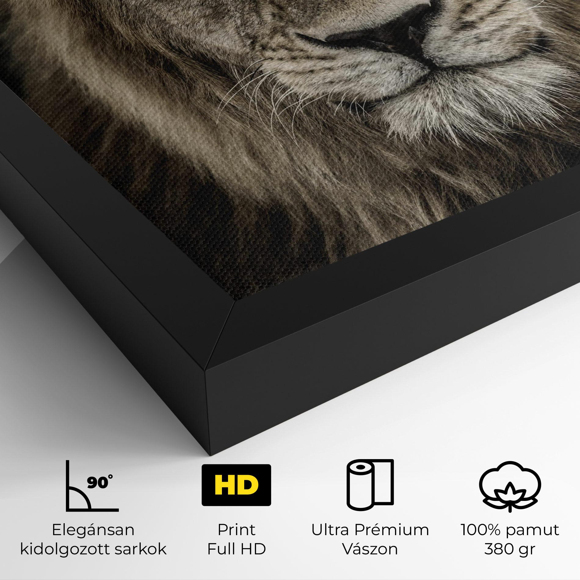 Vászonkép Lion Close Up mockup 4