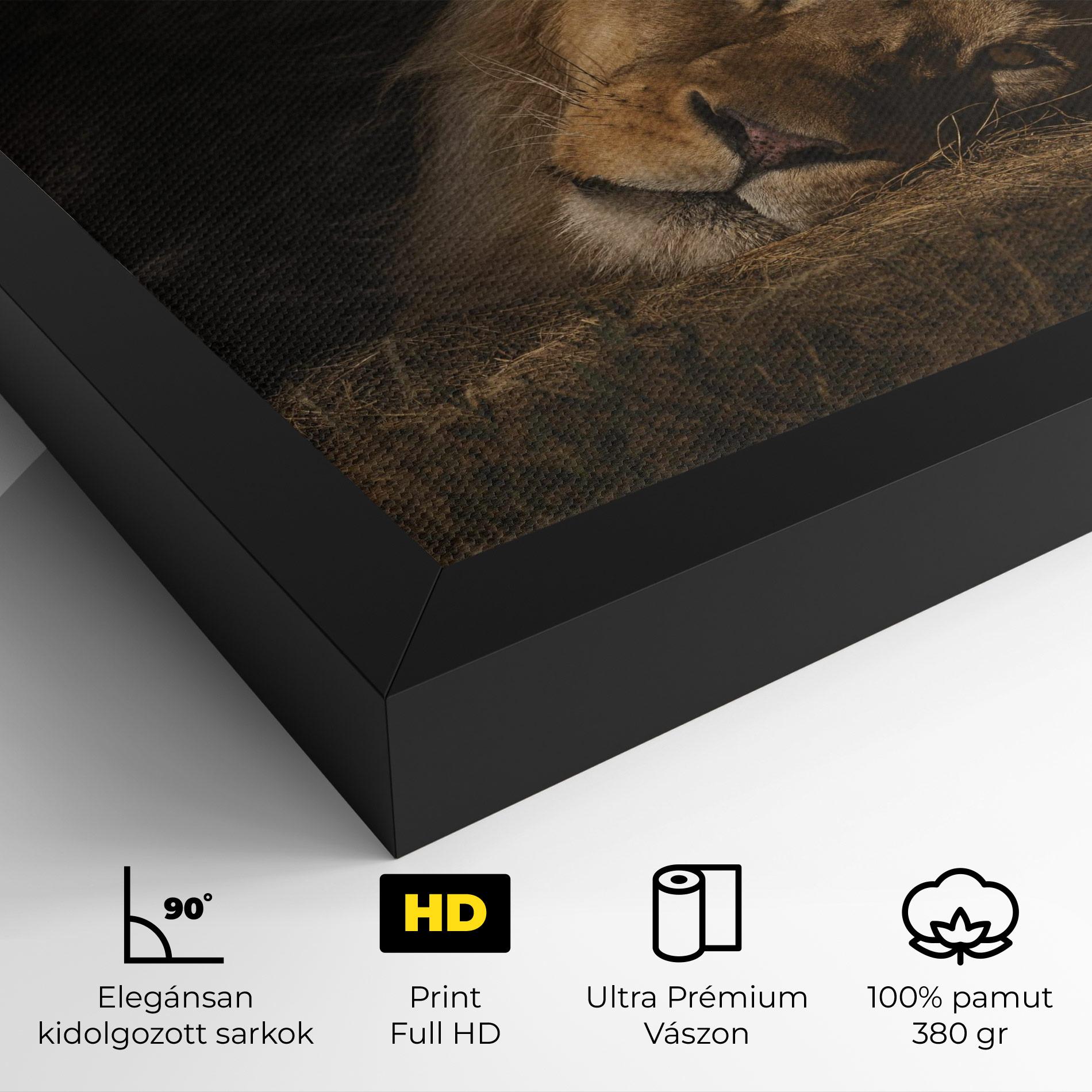 Vászonkép Lion Laying Down mockup 4