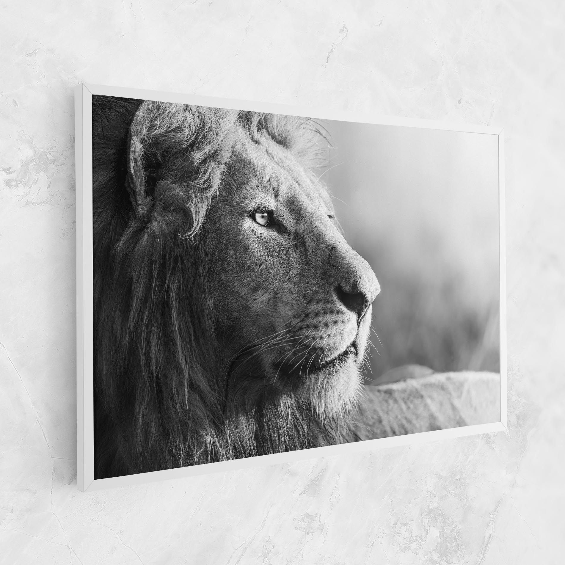 Grey Lion Head mockup 1