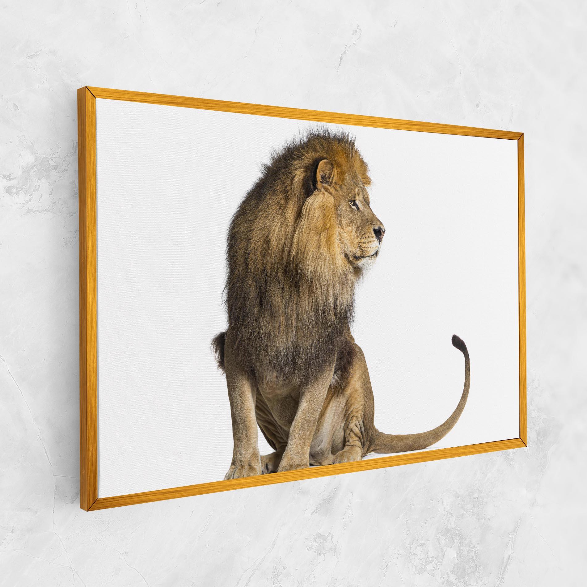 Vászonkép Big Lion mockup 1