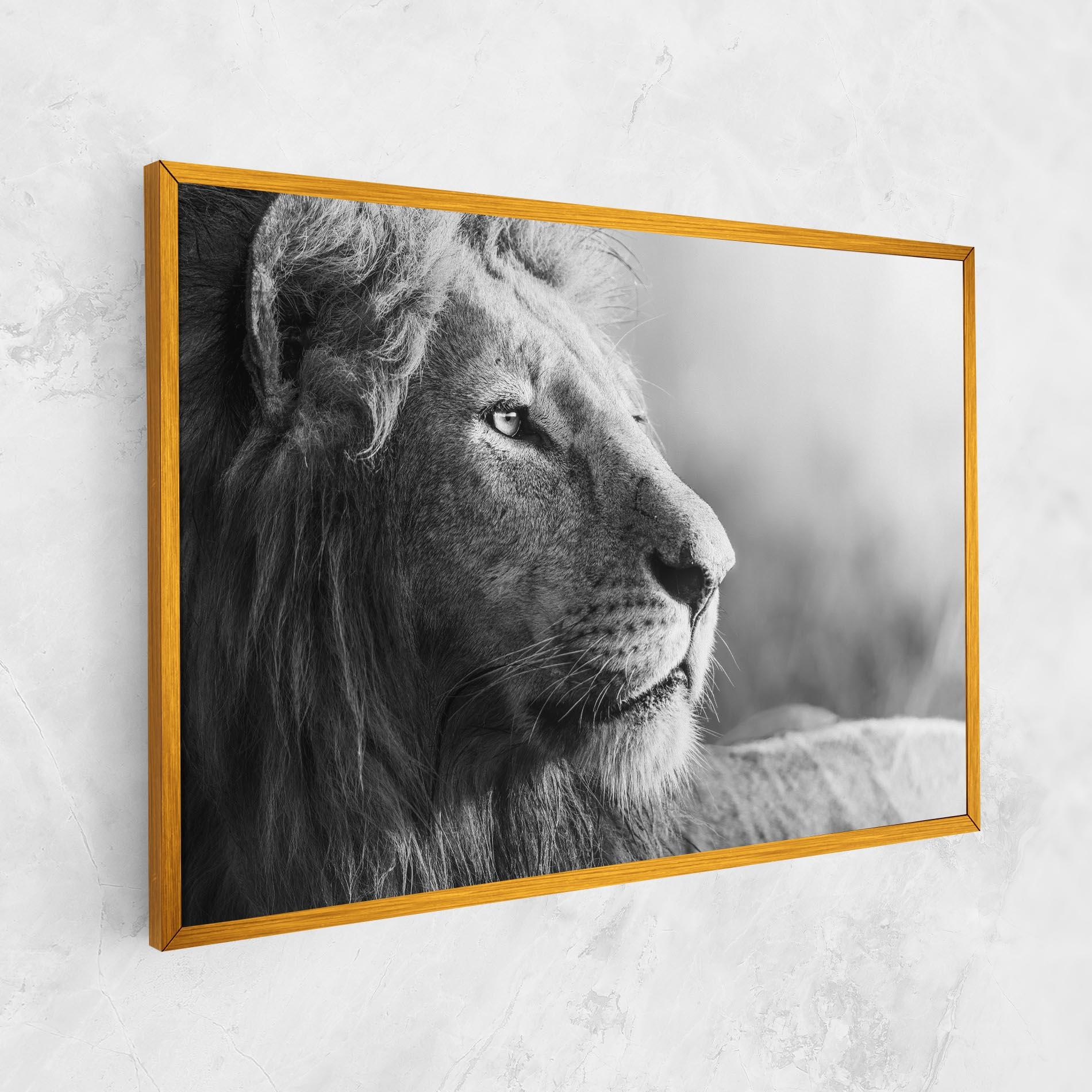 Vászonkép Grey Lion Head mockup 1