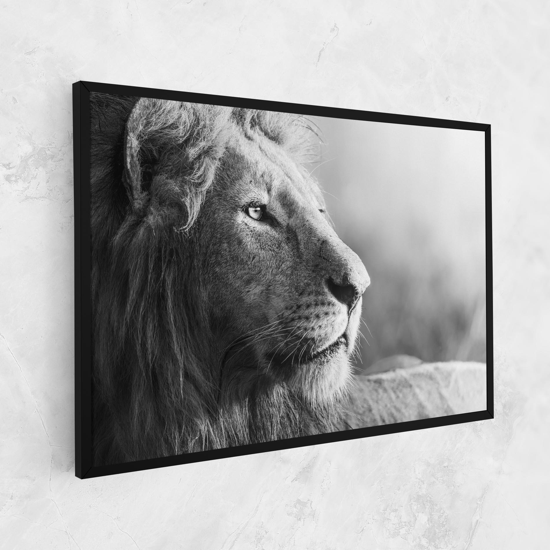 Vászonkép Grey Lion Head mockup 1