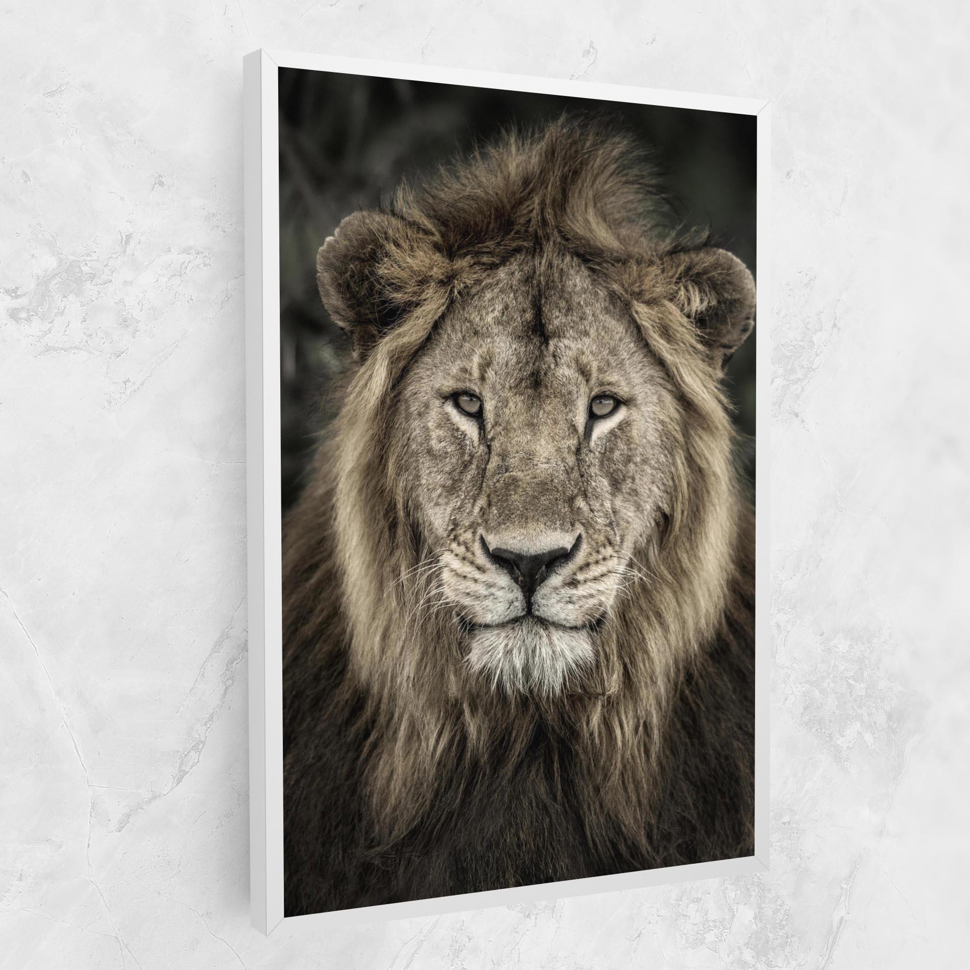 Vászonkép Lion Close Up mockup 1