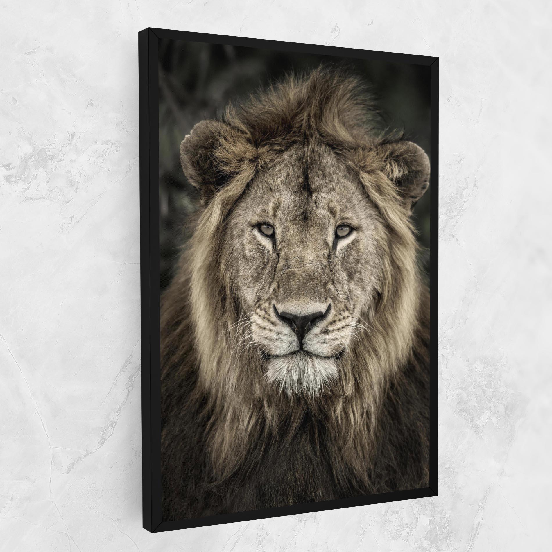 Vászonkép Lion Close Up mockup 1