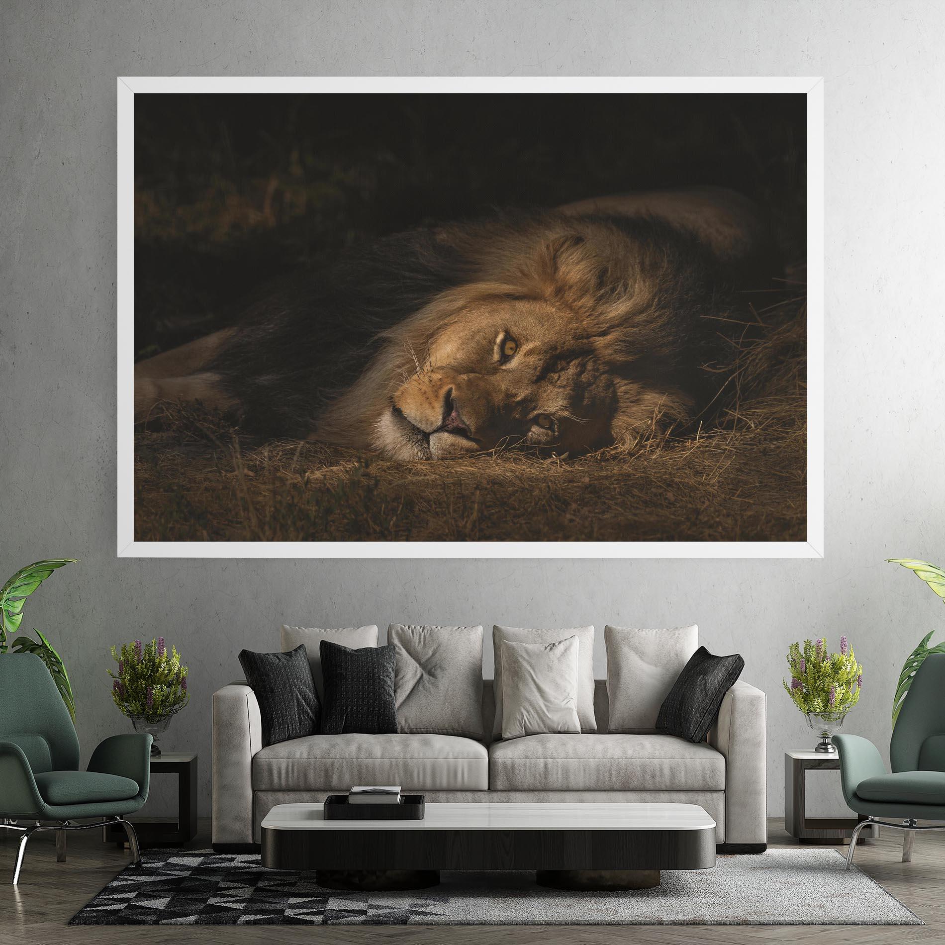 Vászonkép Lion Laying Down mockup 7