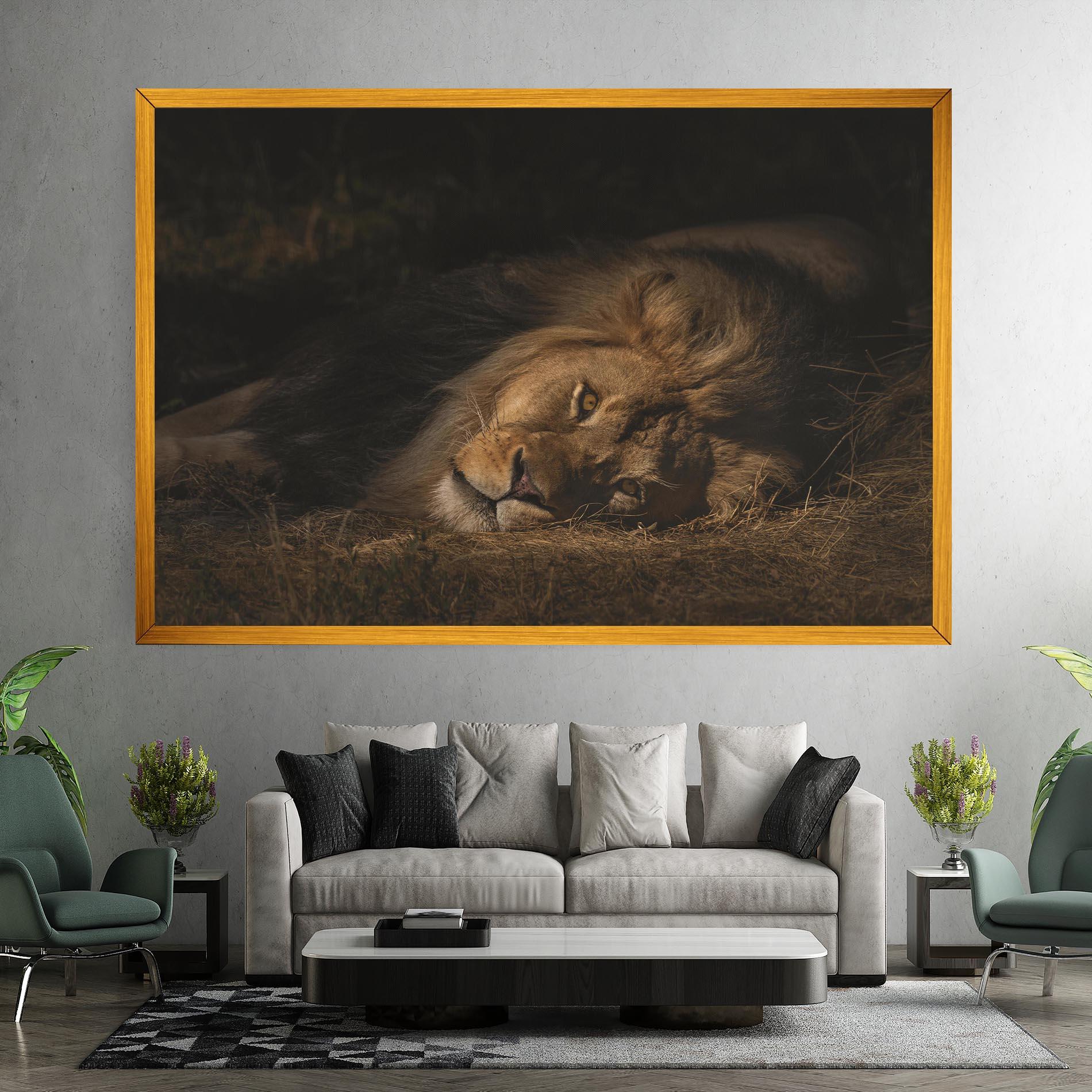 Vászonkép Lion Laying Down mockup 7