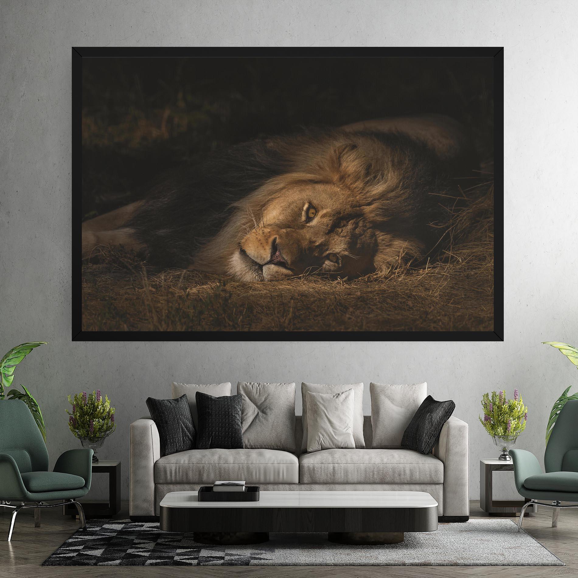 Vászonkép Lion Laying Down mockup 7