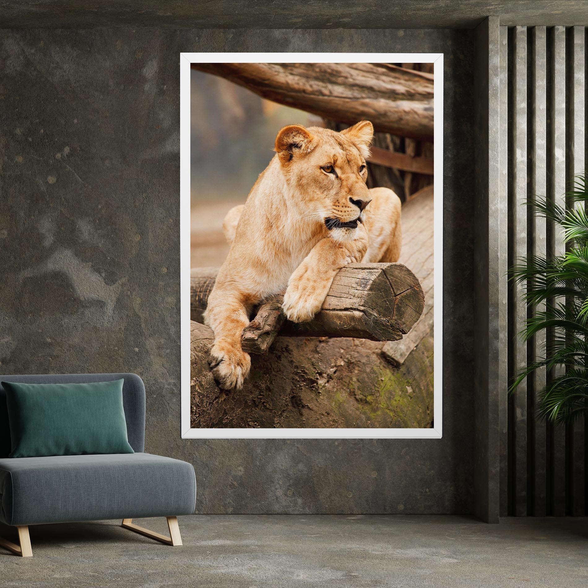 Vászonkép Female Lion Sitting mockup 7