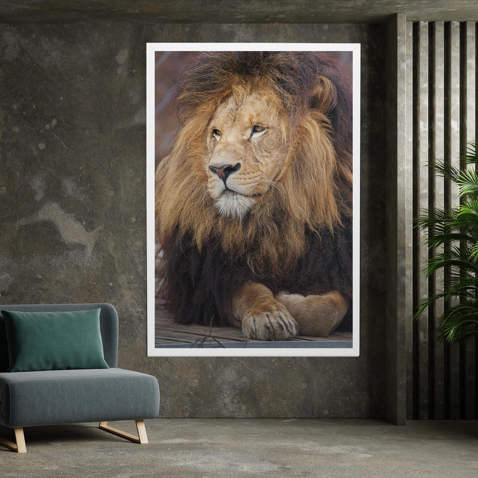 Vászonkép Lion Chilling mockup 7