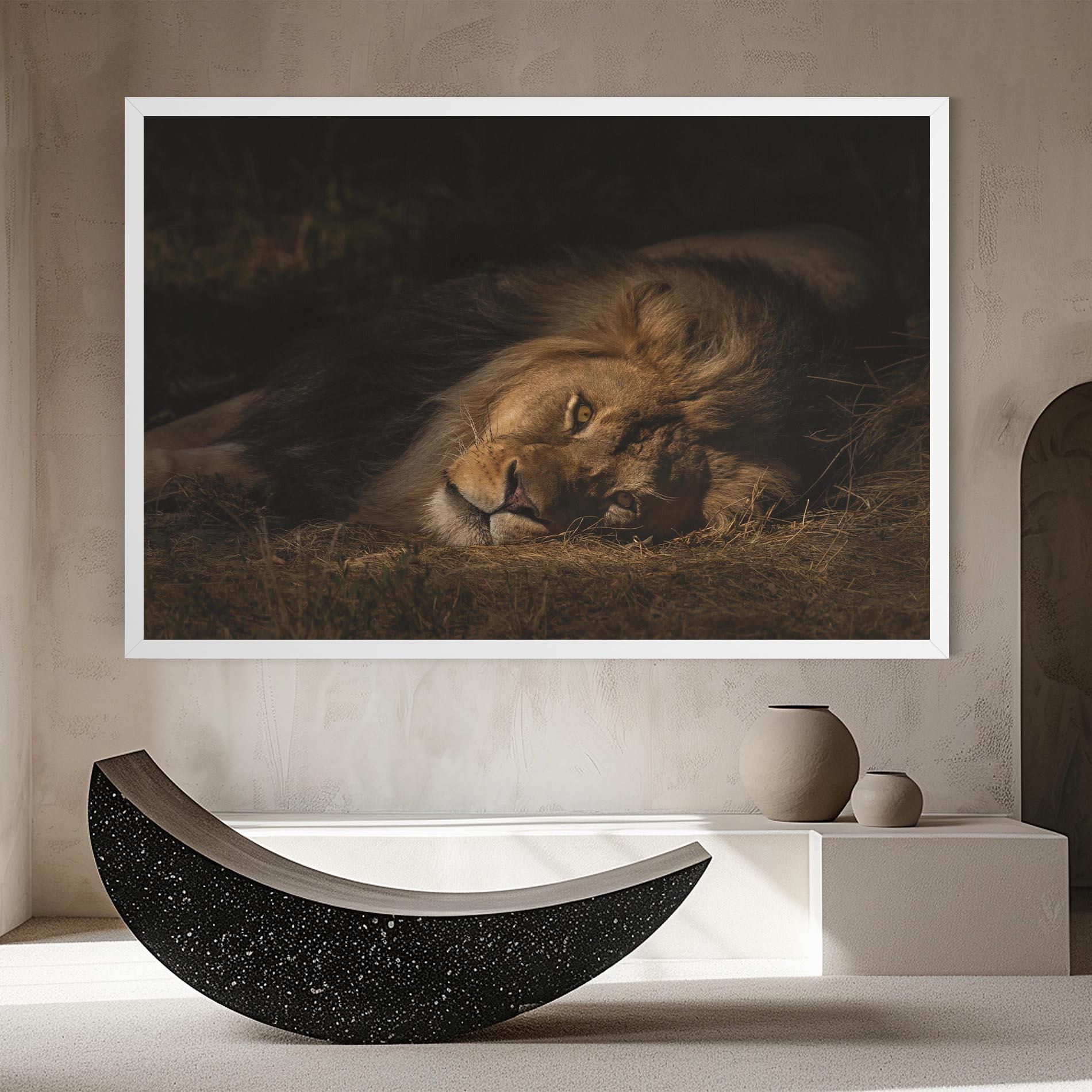 Vászonkép Lion Laying Down mockup 8