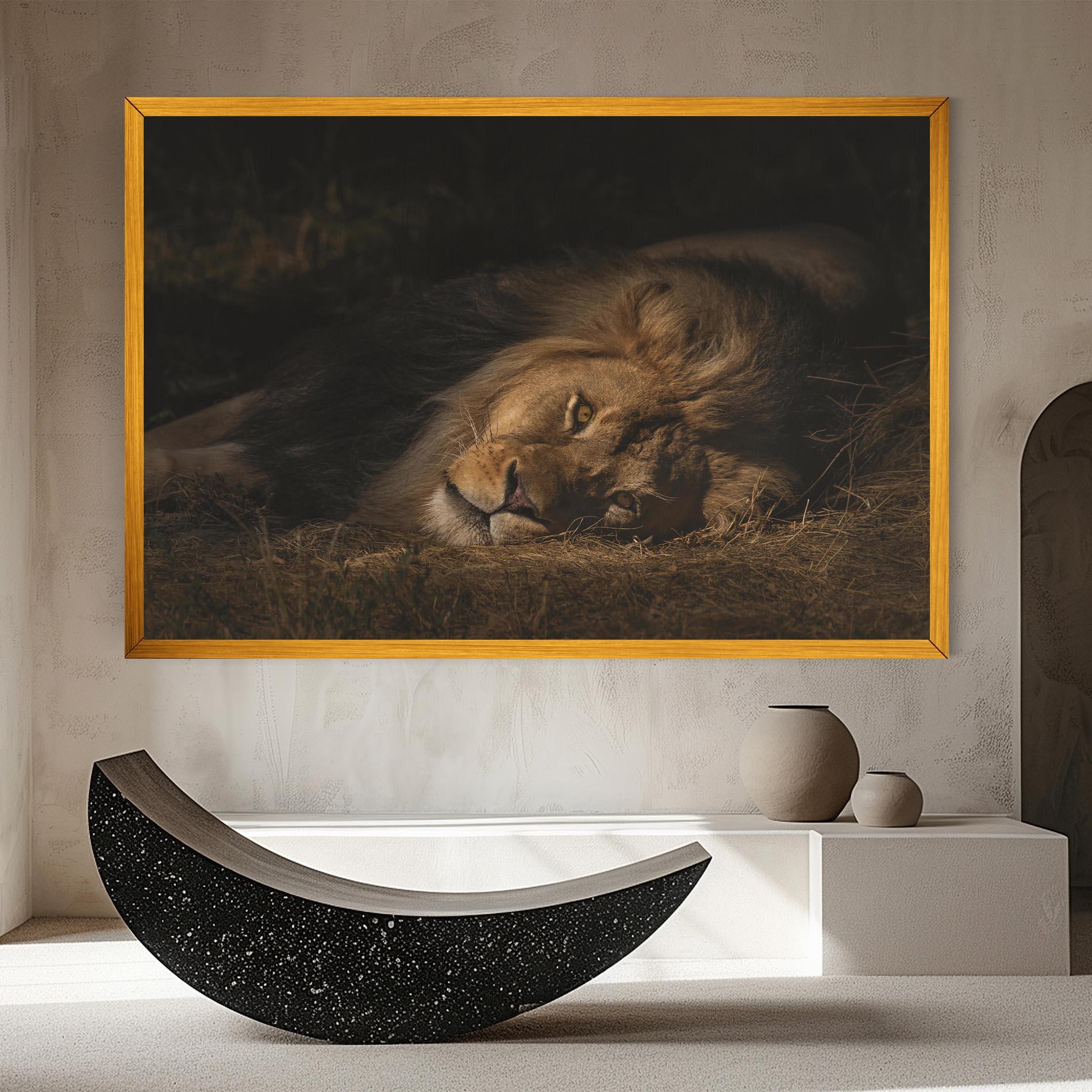 Vászonkép Lion Laying Down mockup 8
