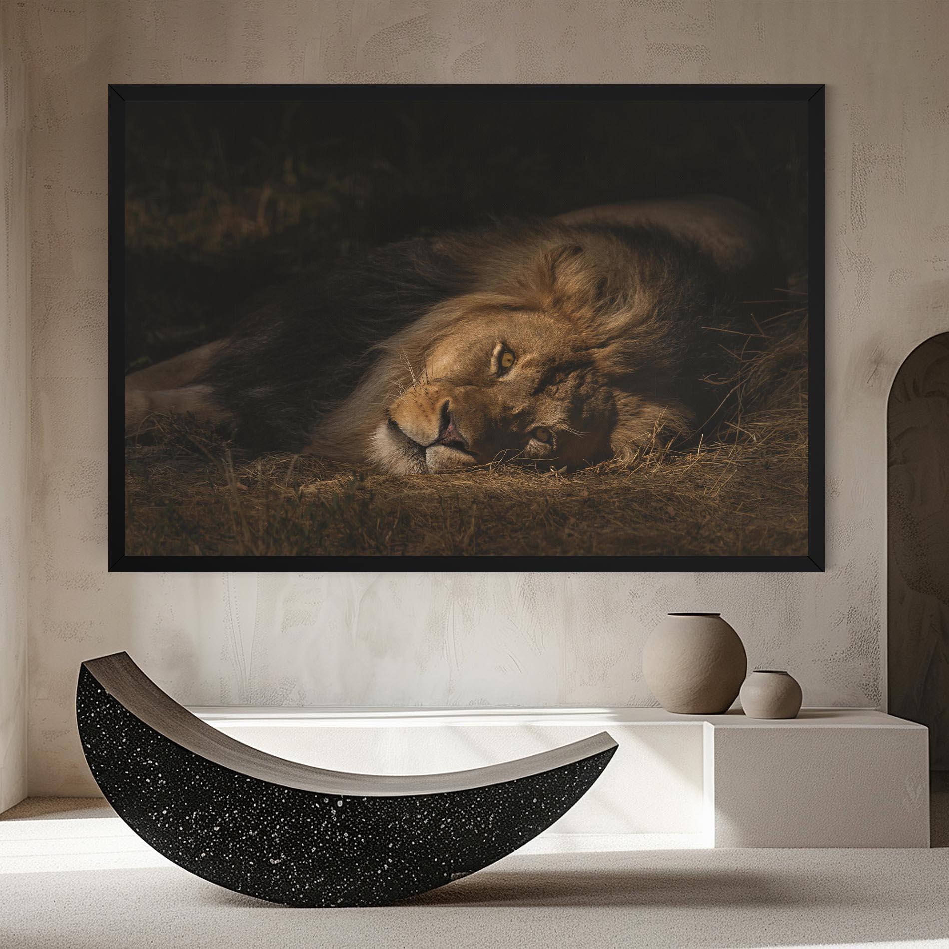Vászonkép Lion Laying Down mockup 8
