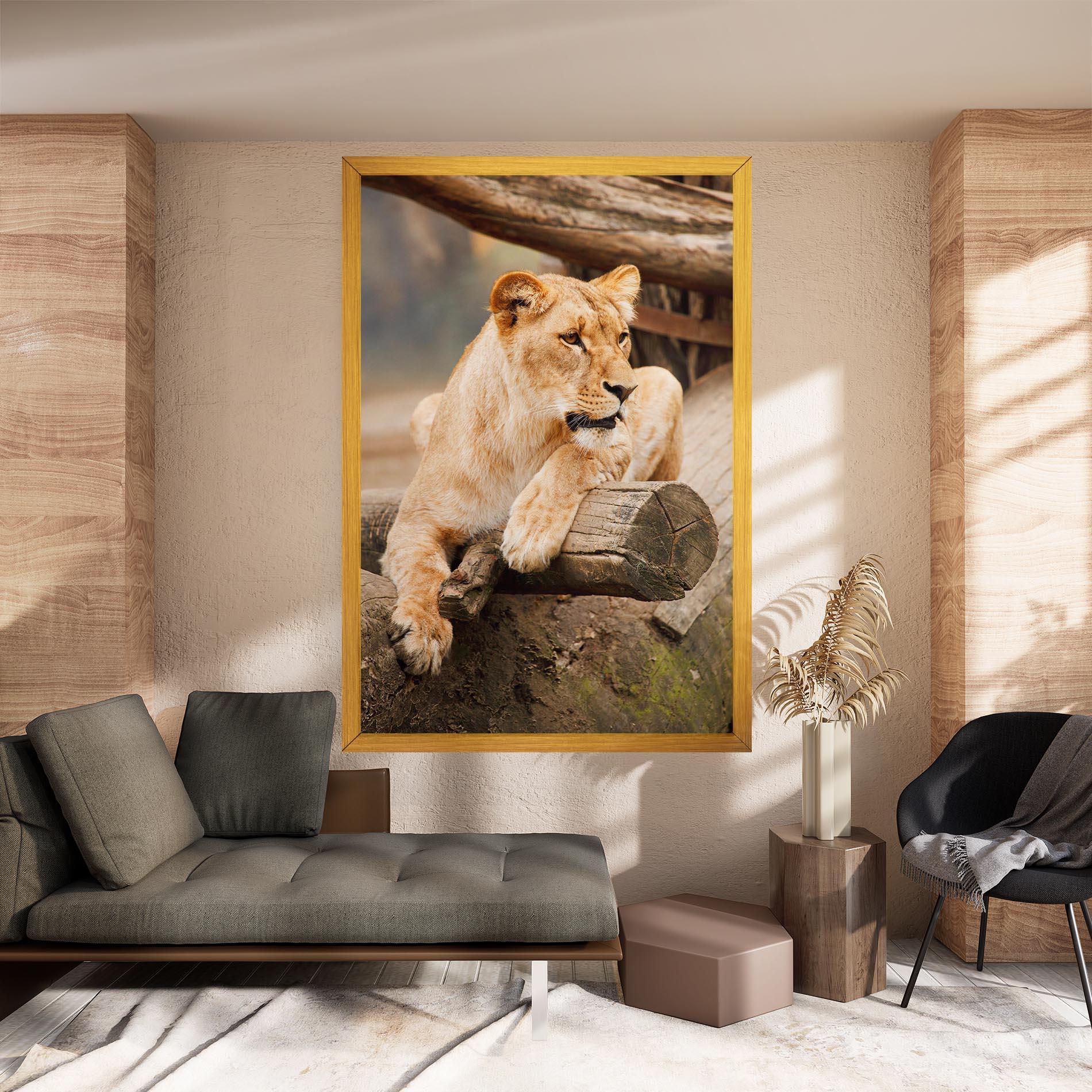Vászonkép Female Lion Sitting mockup 8