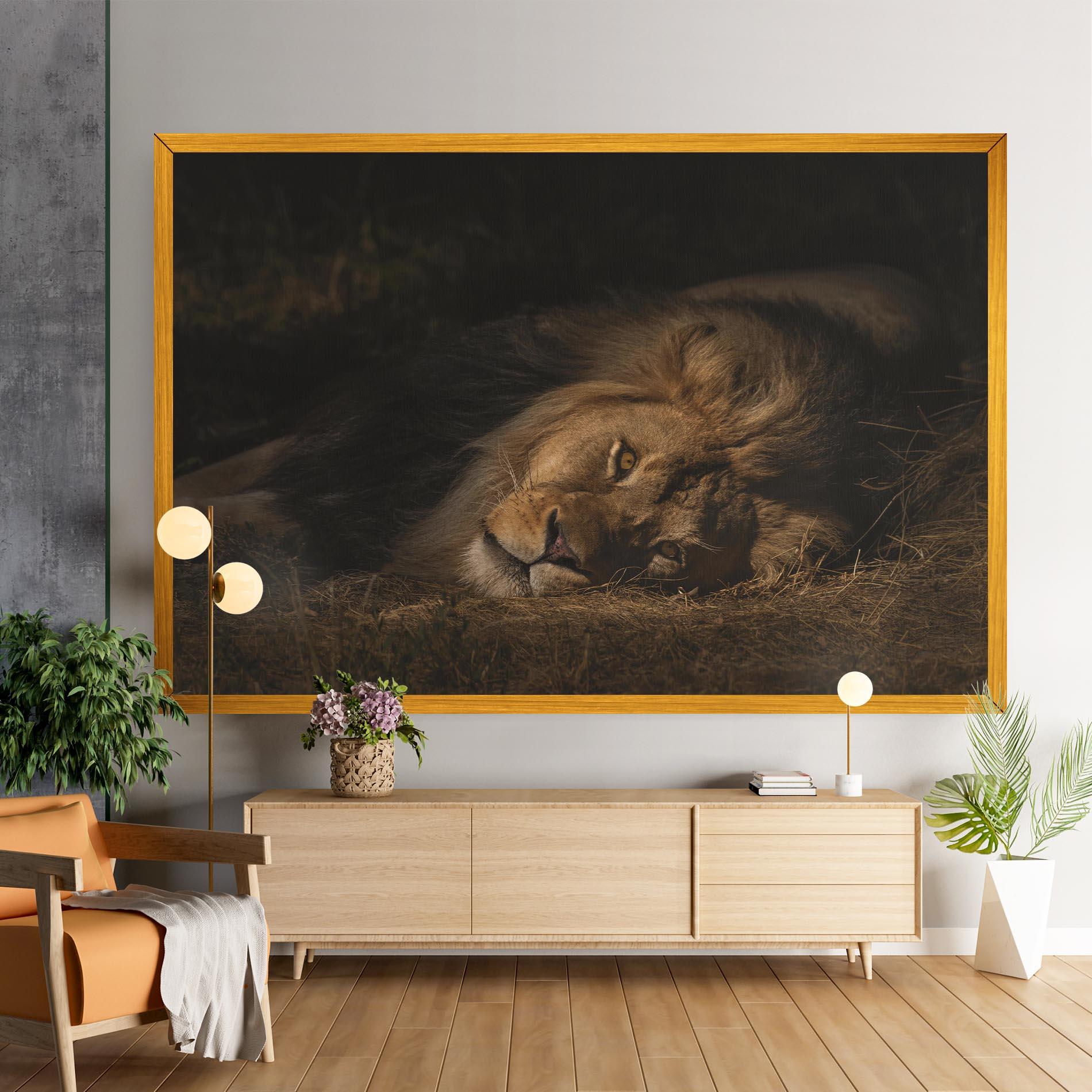 Vászonkép Lion Laying Down mockup 9