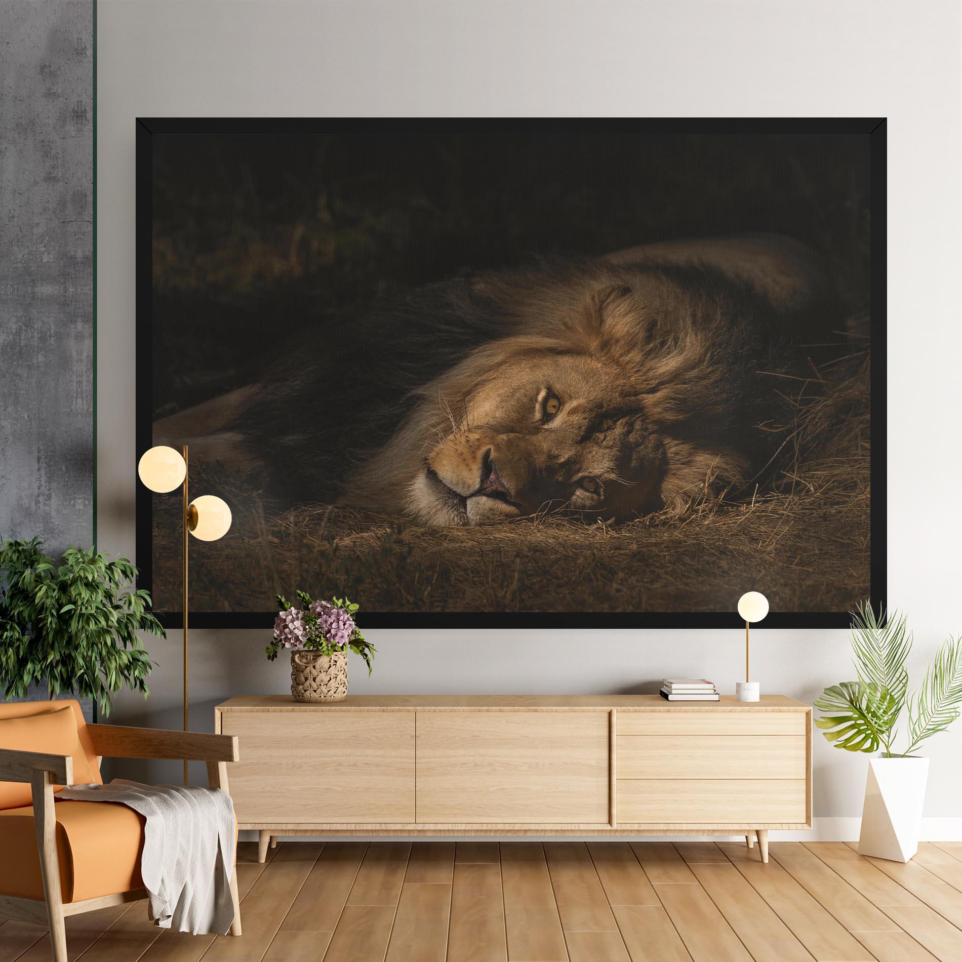 Vászonkép Lion Laying Down mockup 9