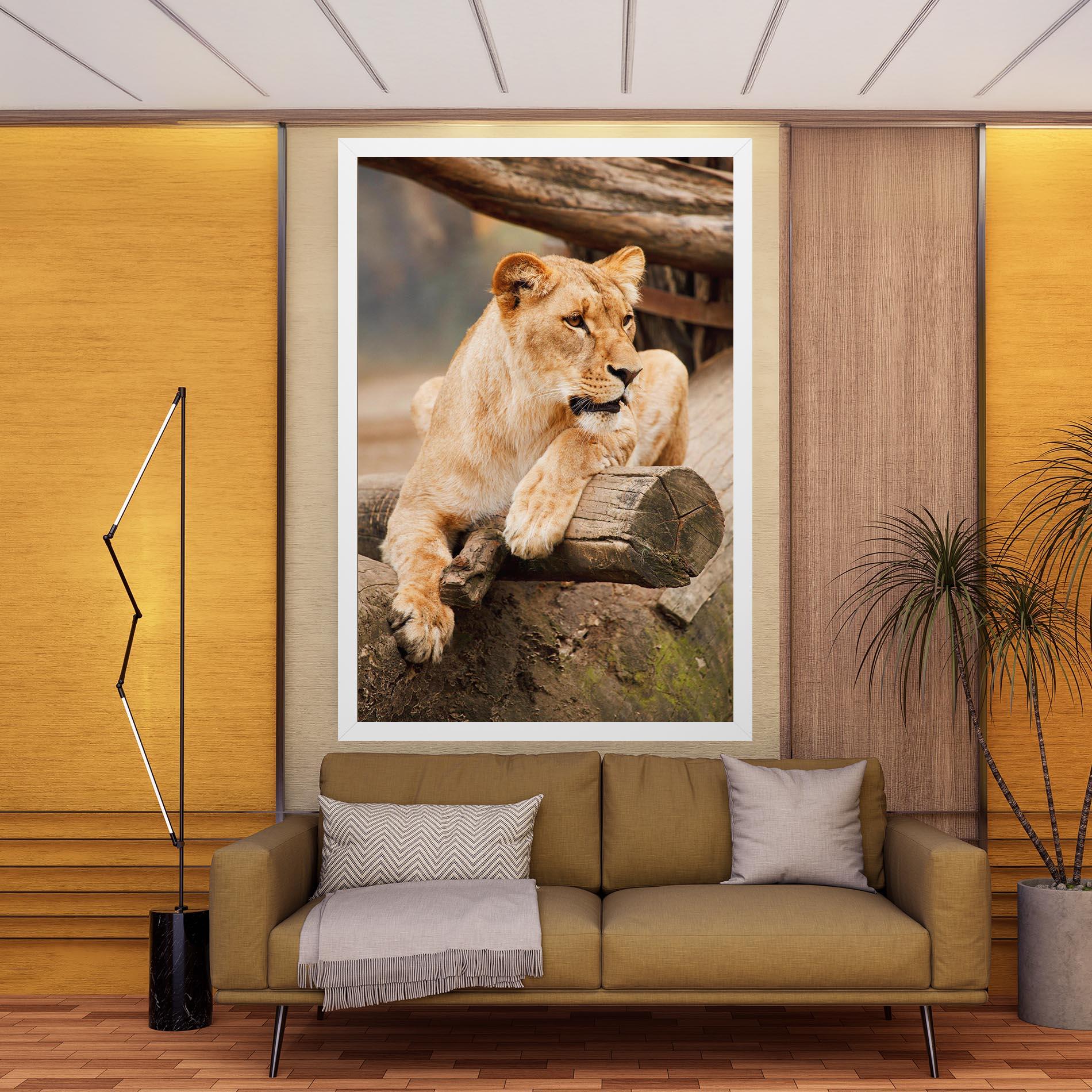 Vászonkép Female Lion Sitting mockup 9