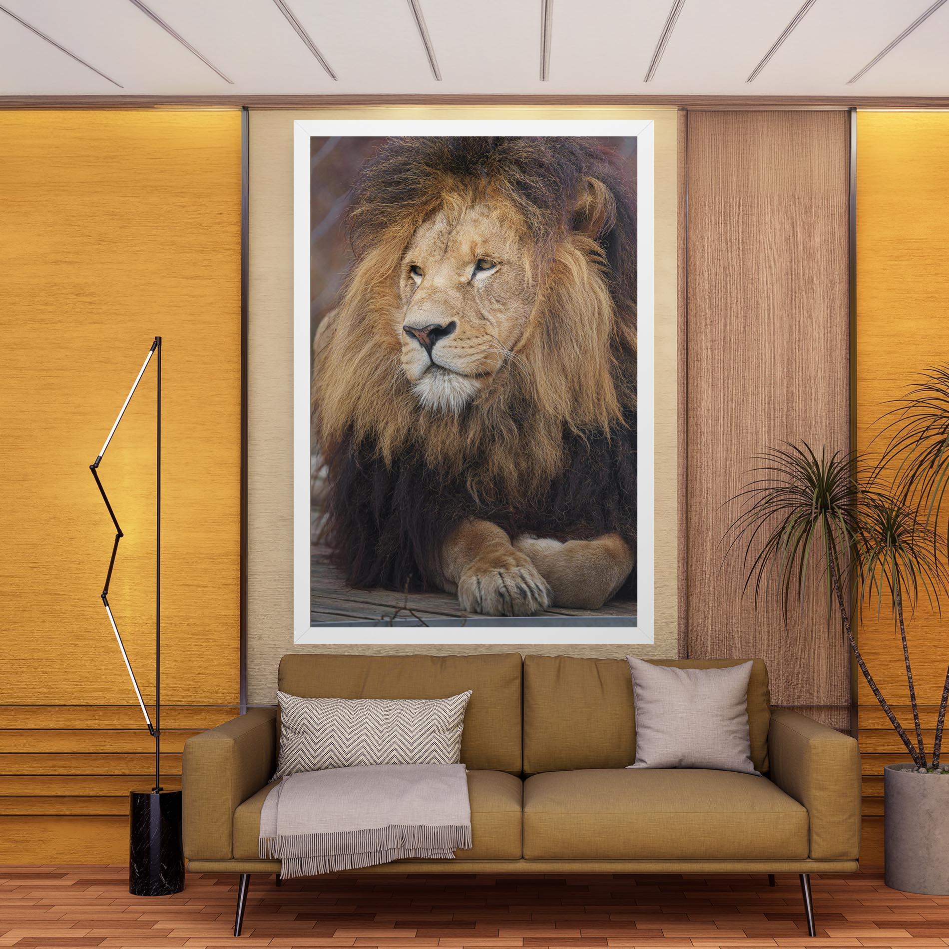 Vászonkép Lion Chilling mockup 9