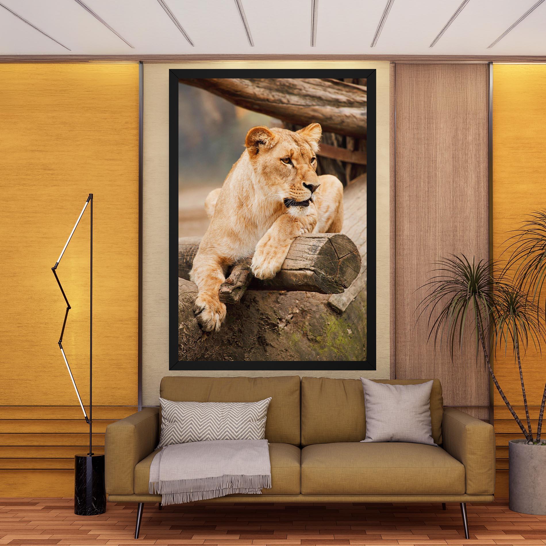 Vászonkép Female Lion Sitting mockup 9