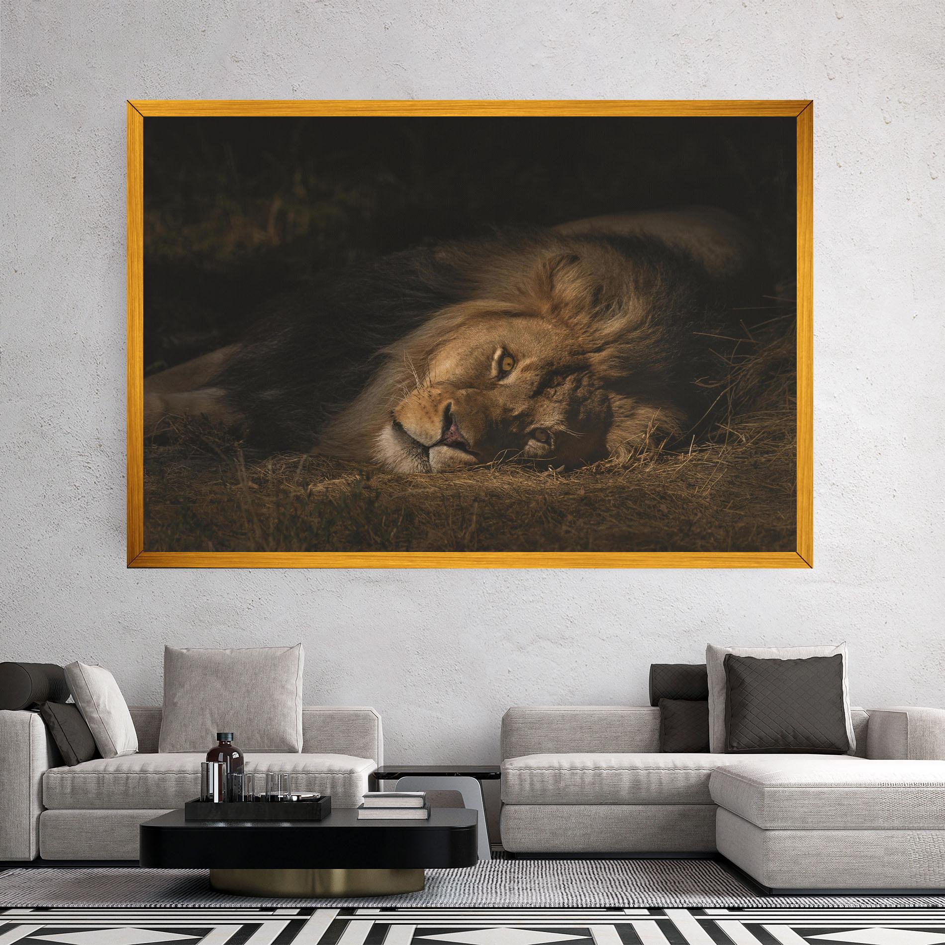 Vászonkép Lion Laying Down mockup 2