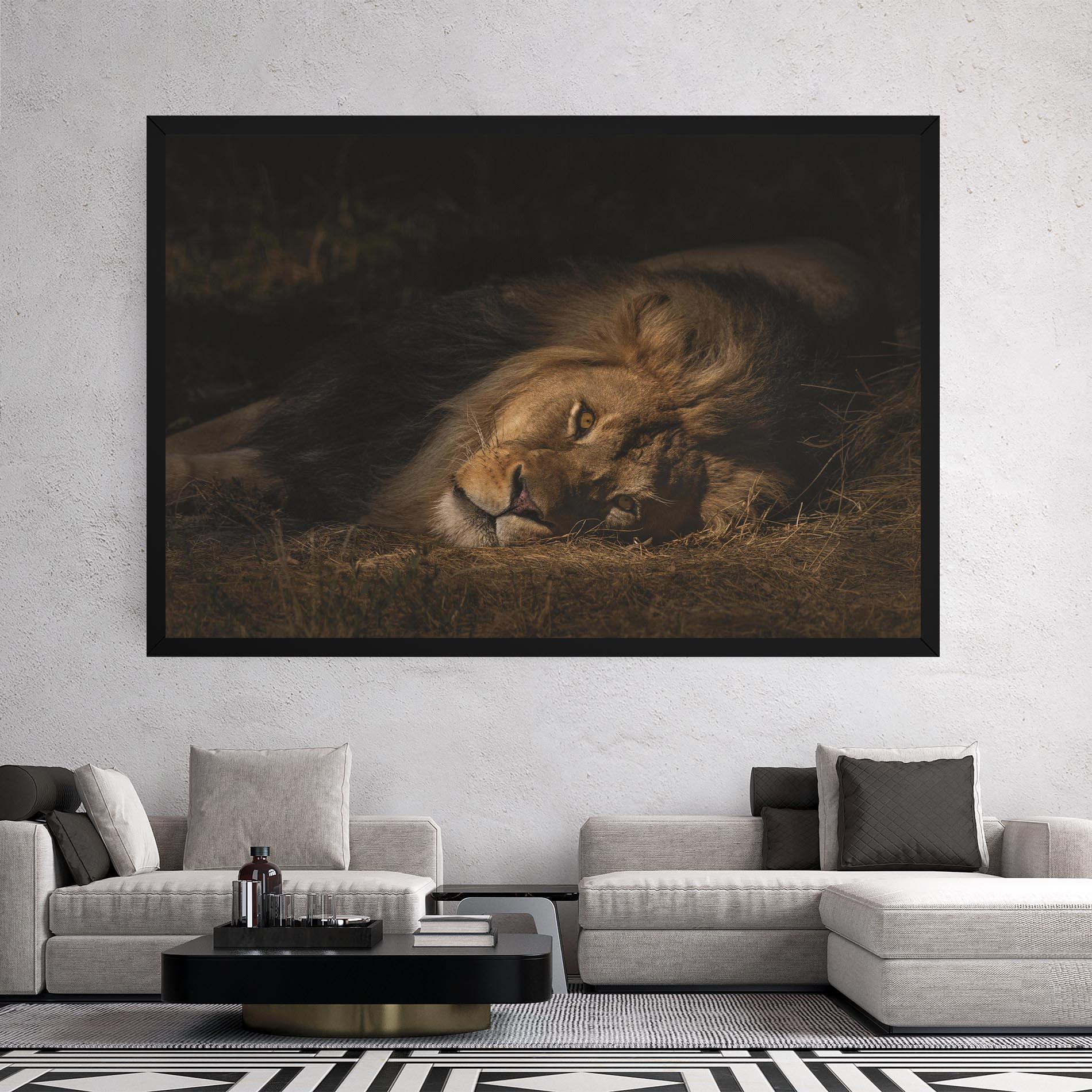 Vászonkép Lion Laying Down mockup 2