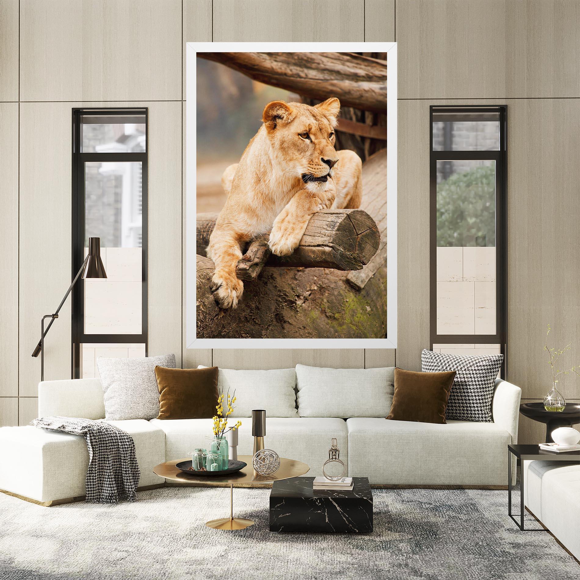 Vászonkép Female Lion Sitting mockup 2