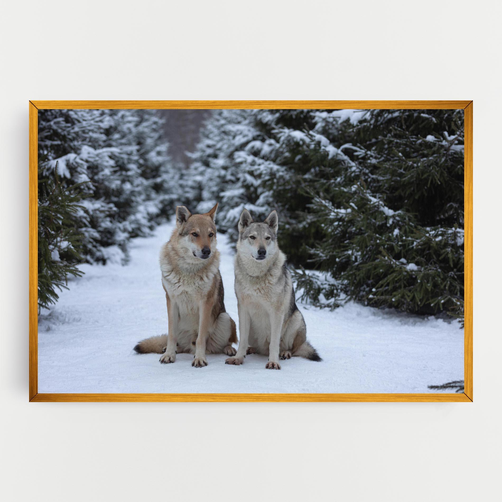 Vászonkép 2 Wolfs Sitting mockup 0