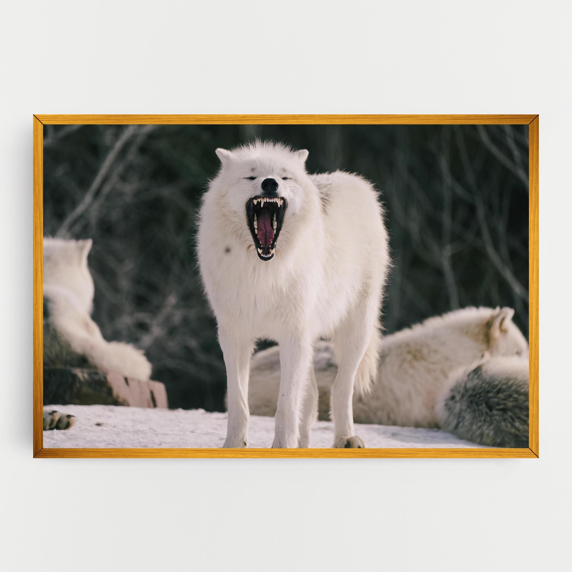 Vászonkép Laughing White Wolf mockup 0
